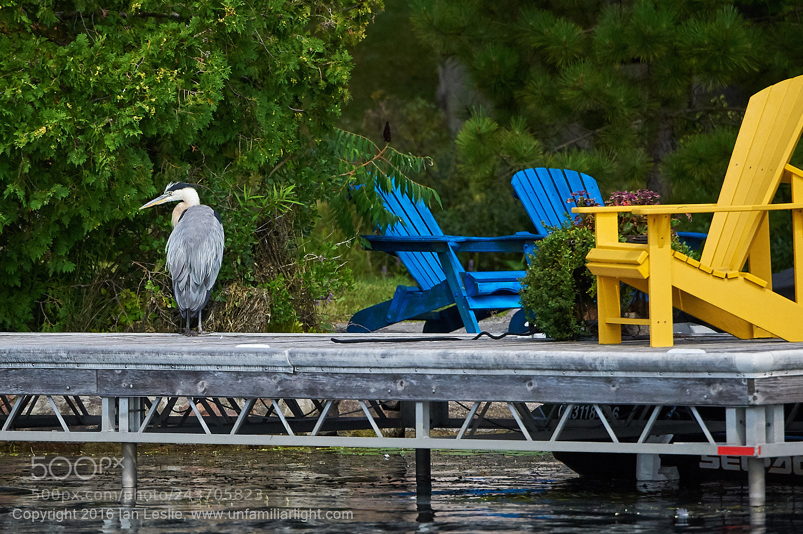 Nikon D700 sample photo. Relaxing on the dock photography