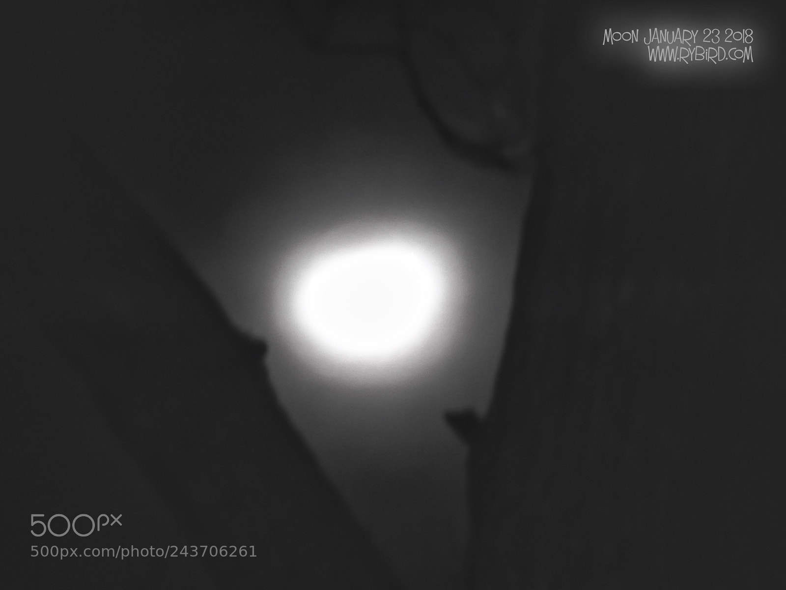 Fujifilm FinePix S1 sample photo. Moon january photography
