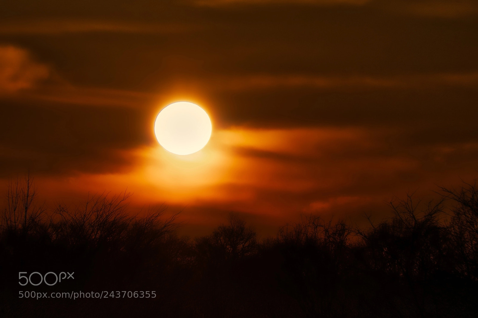 Nikon D500 sample photo. Tonights sunset photography