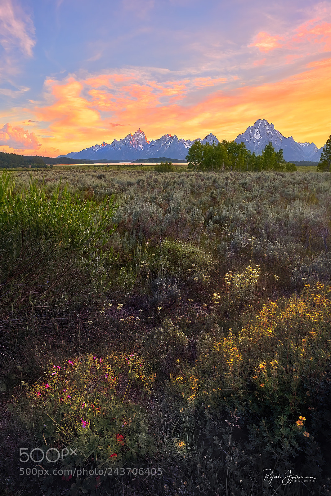 Sony a7R II sample photo. Wild west photography