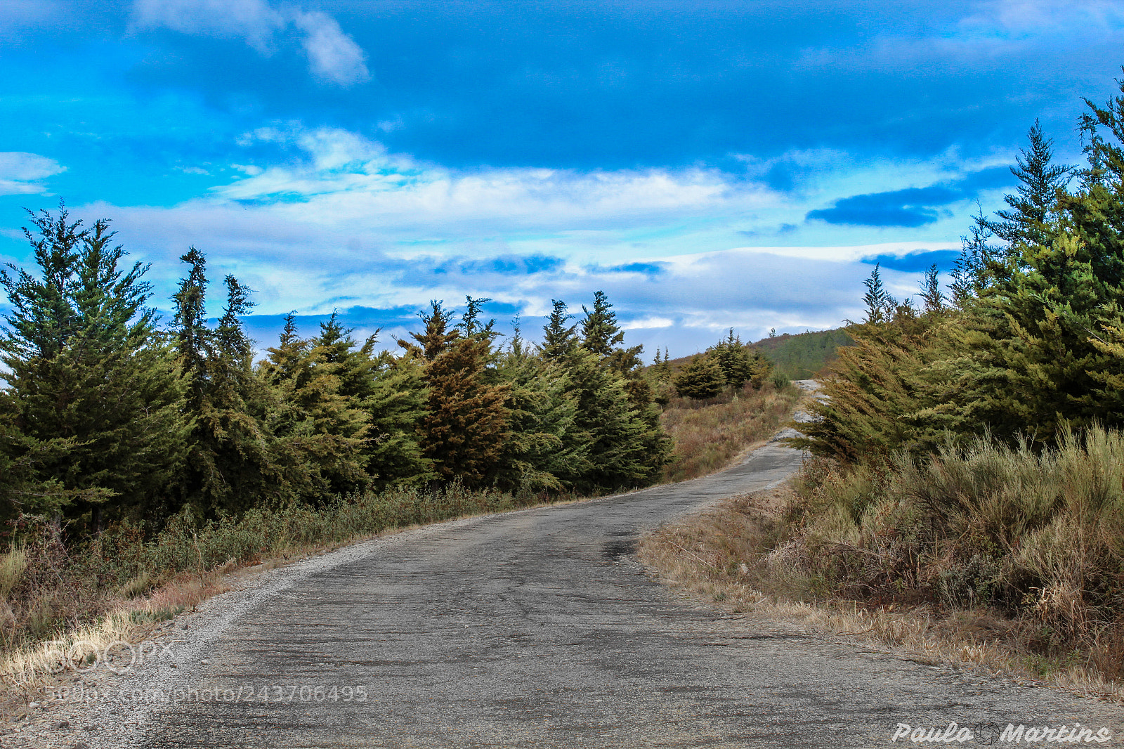 Canon EOS 1300D (EOS Rebel T6 / EOS Kiss X80) sample photo. Way of paradise photography