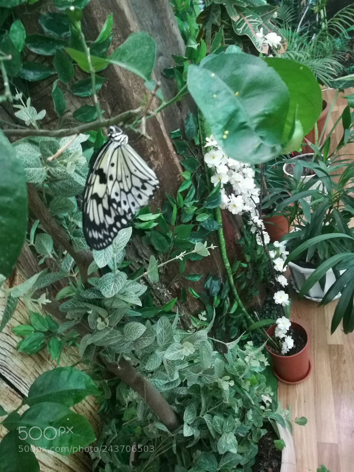 HUAWEI Honor 8 sample photo. Untitled photography