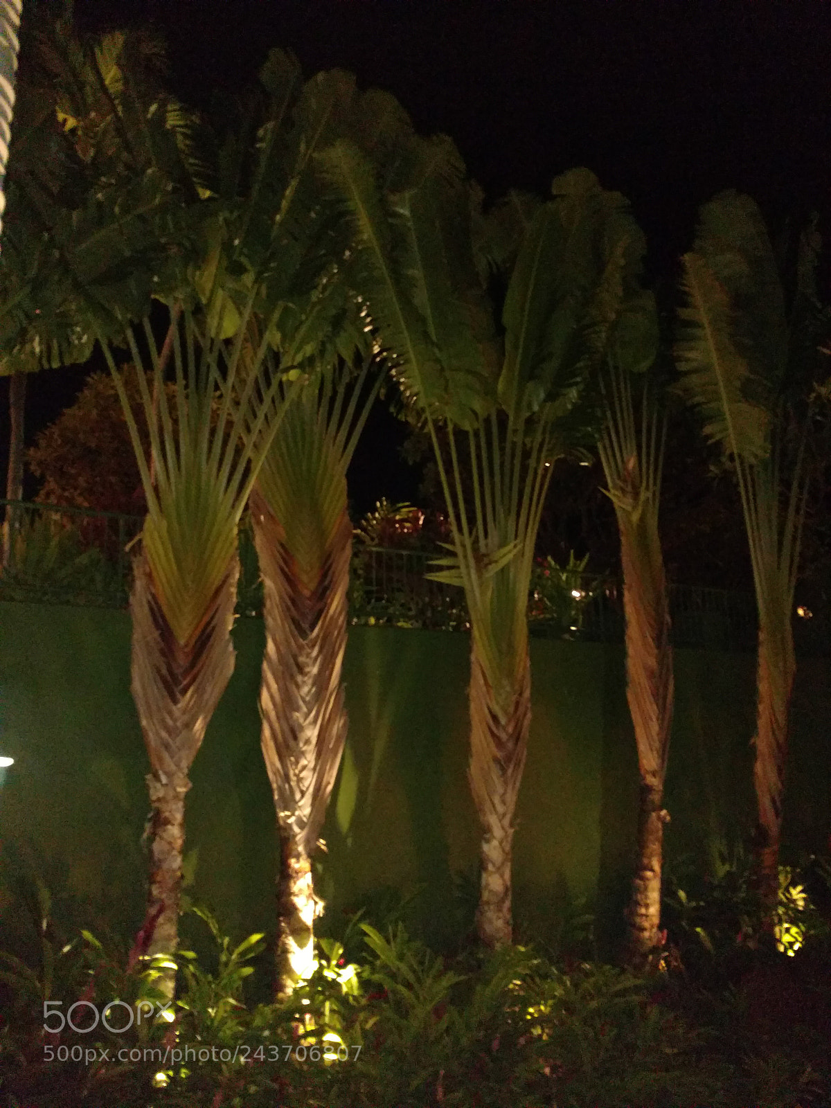 Motorola DROID Turbo 2 sample photo. Untitled photography