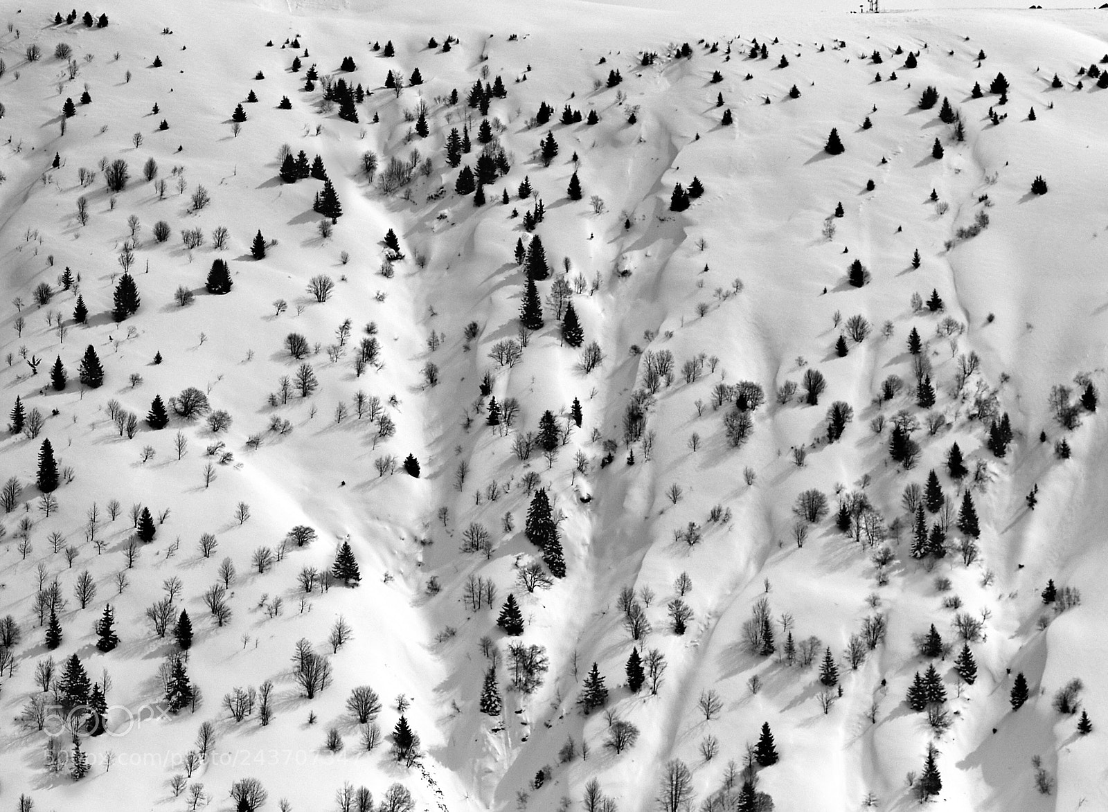 Olympus E-500 (EVOLT E-500) sample photo. La toussuire, 2013 photography