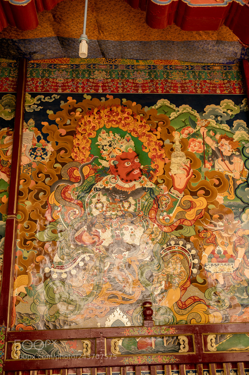 Canon EOS 5DS R sample photo. Lhasa photography