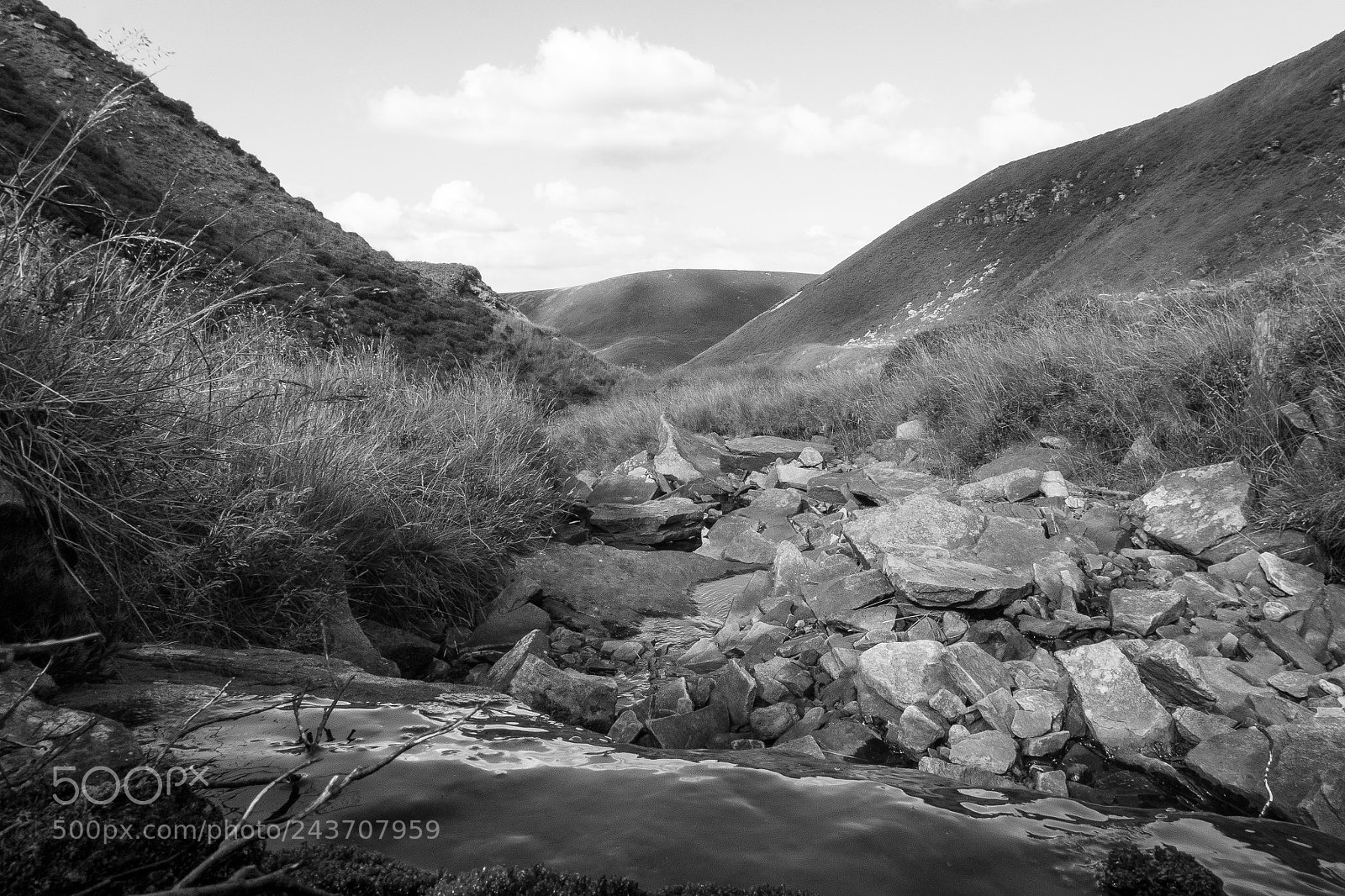 Sony Alpha NEX-5T sample photo. Ramsden photography
