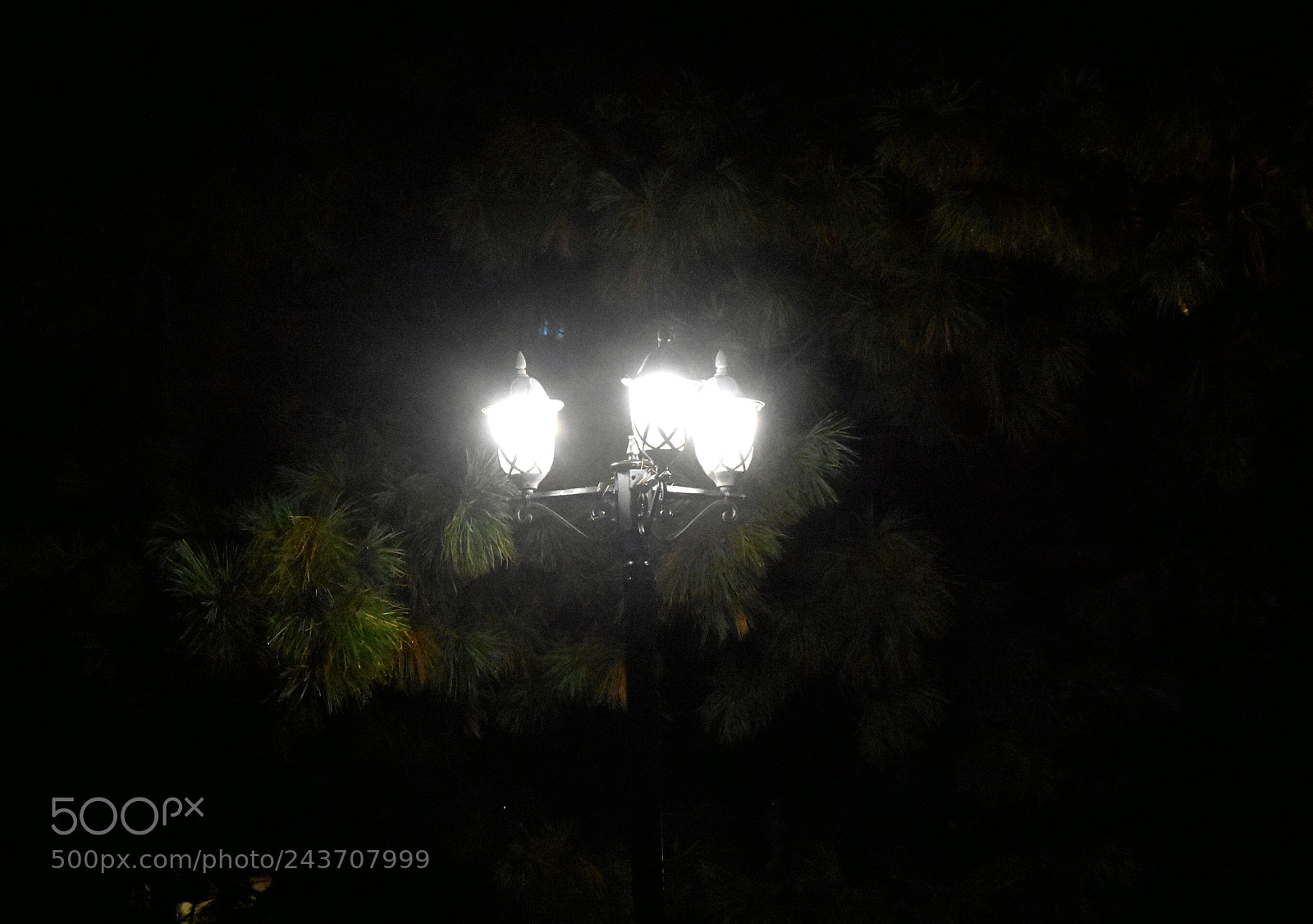 Nikon D7200 sample photo. The night photography