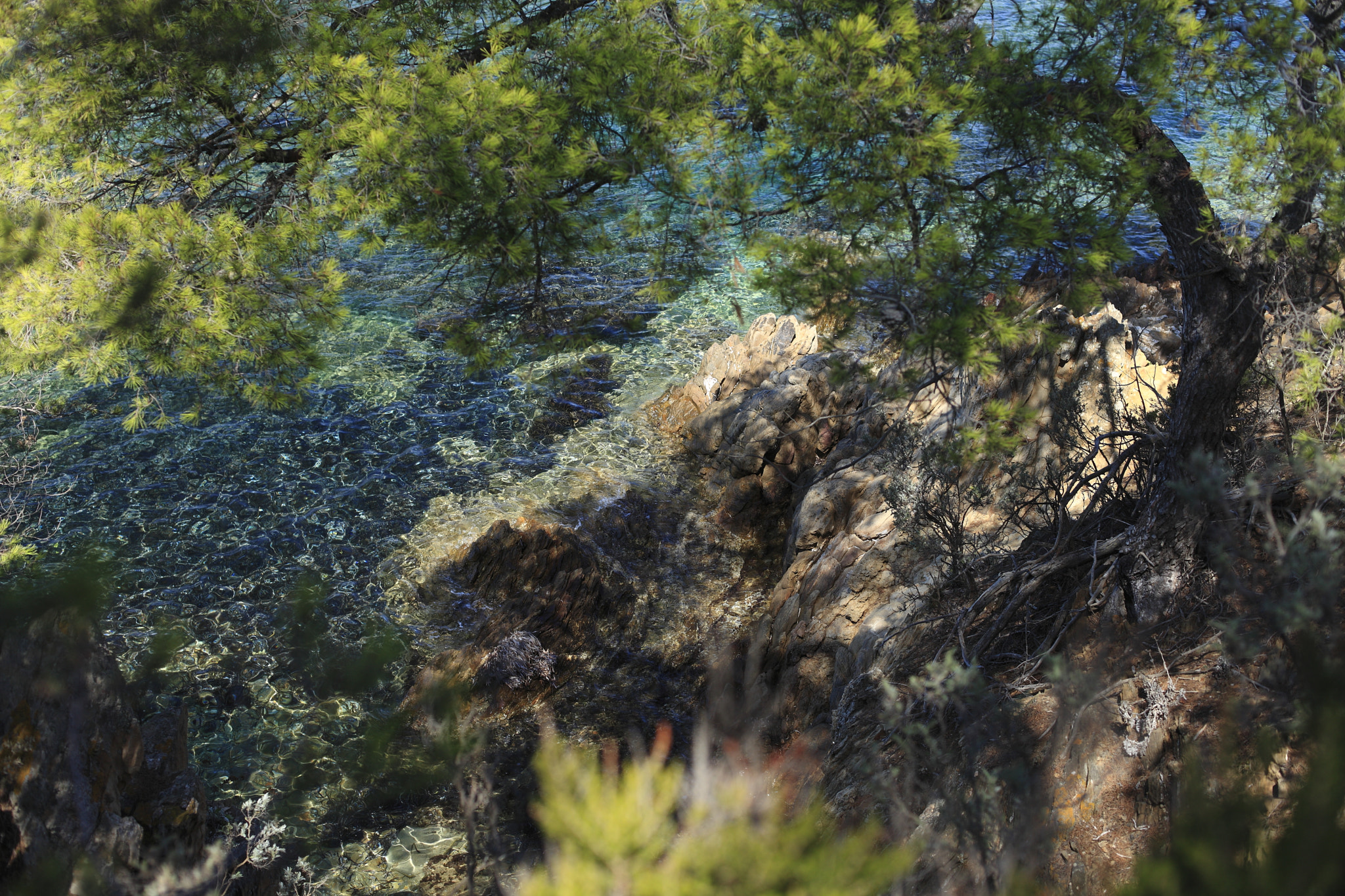 Canon EF 50mm F1.4 USM sample photo. Port cros water reflects photography
