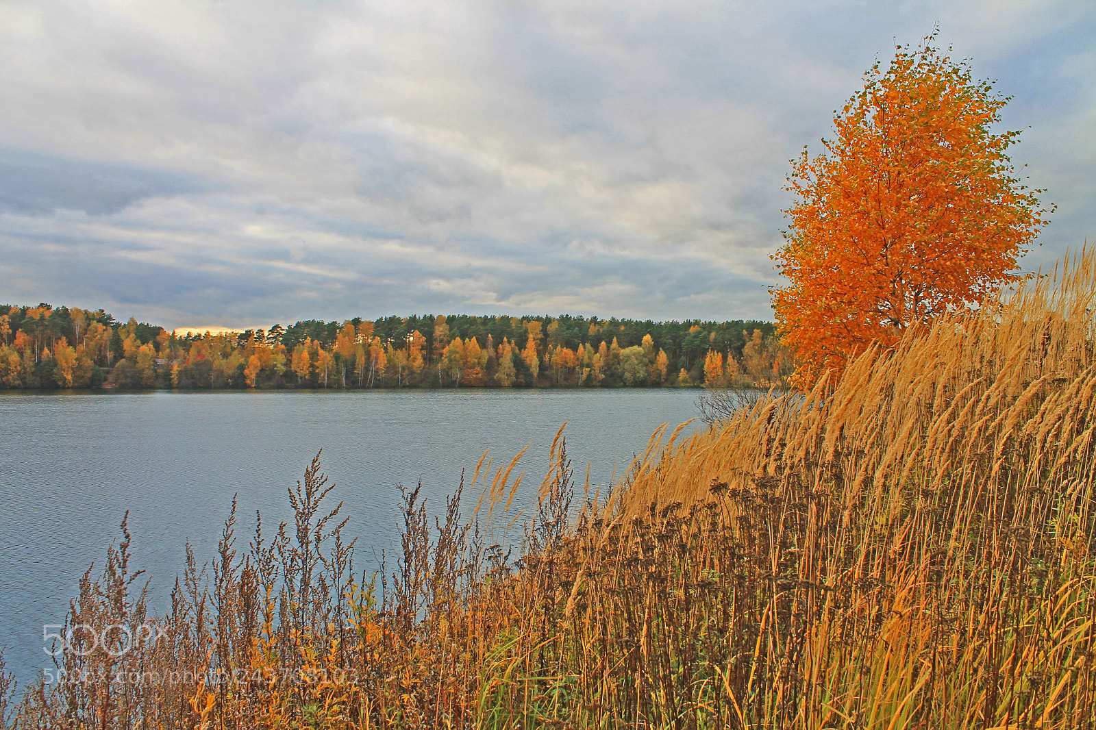 Canon EOS 1100D (EOS Rebel T3 / EOS Kiss X50) sample photo. Golden autumn in russia photography