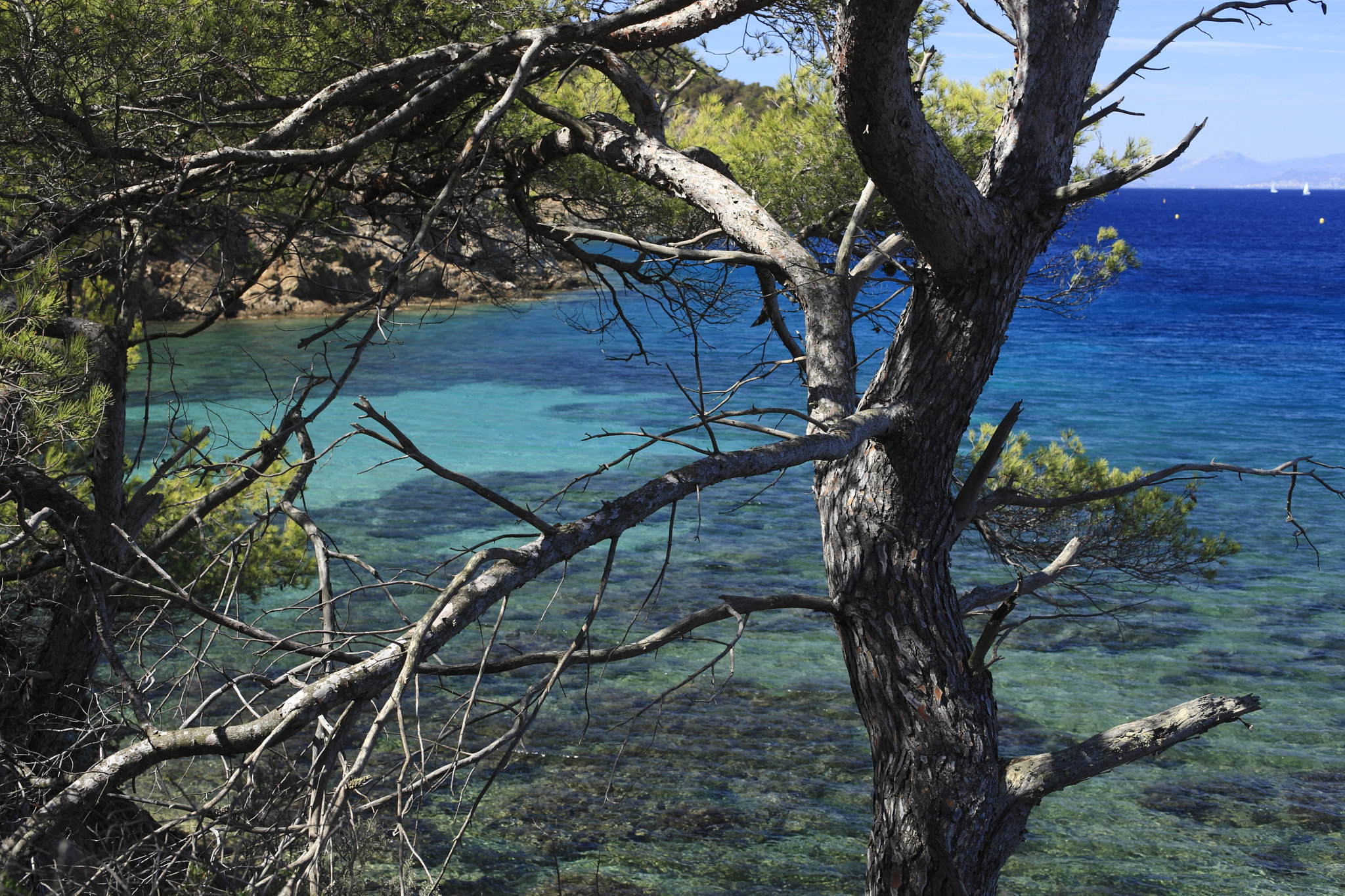 Canon EF 50mm F1.4 USM sample photo. Port cros heaven waters photography
