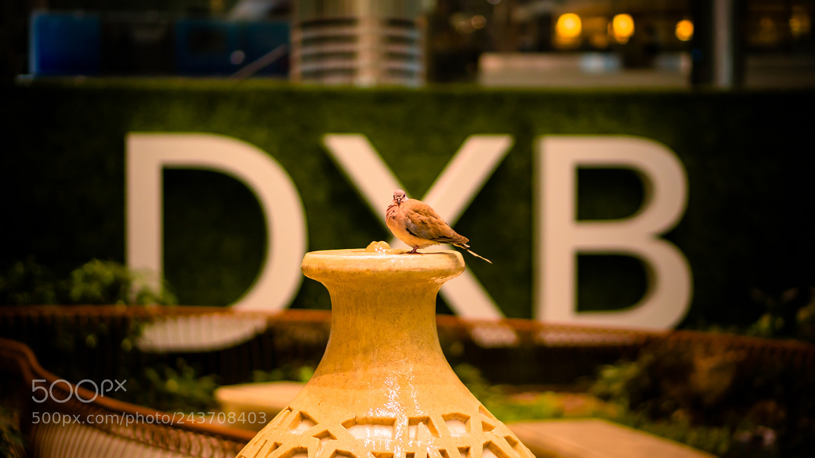 Sony a6300 sample photo. You never get bored photography