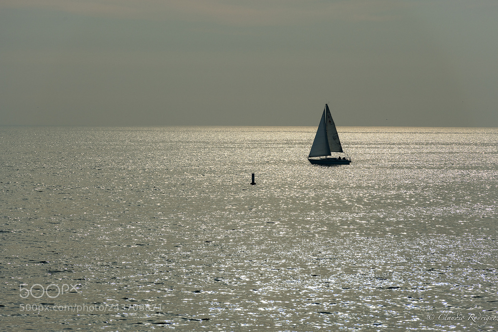 Nikon D850 sample photo. I’ll mare photography