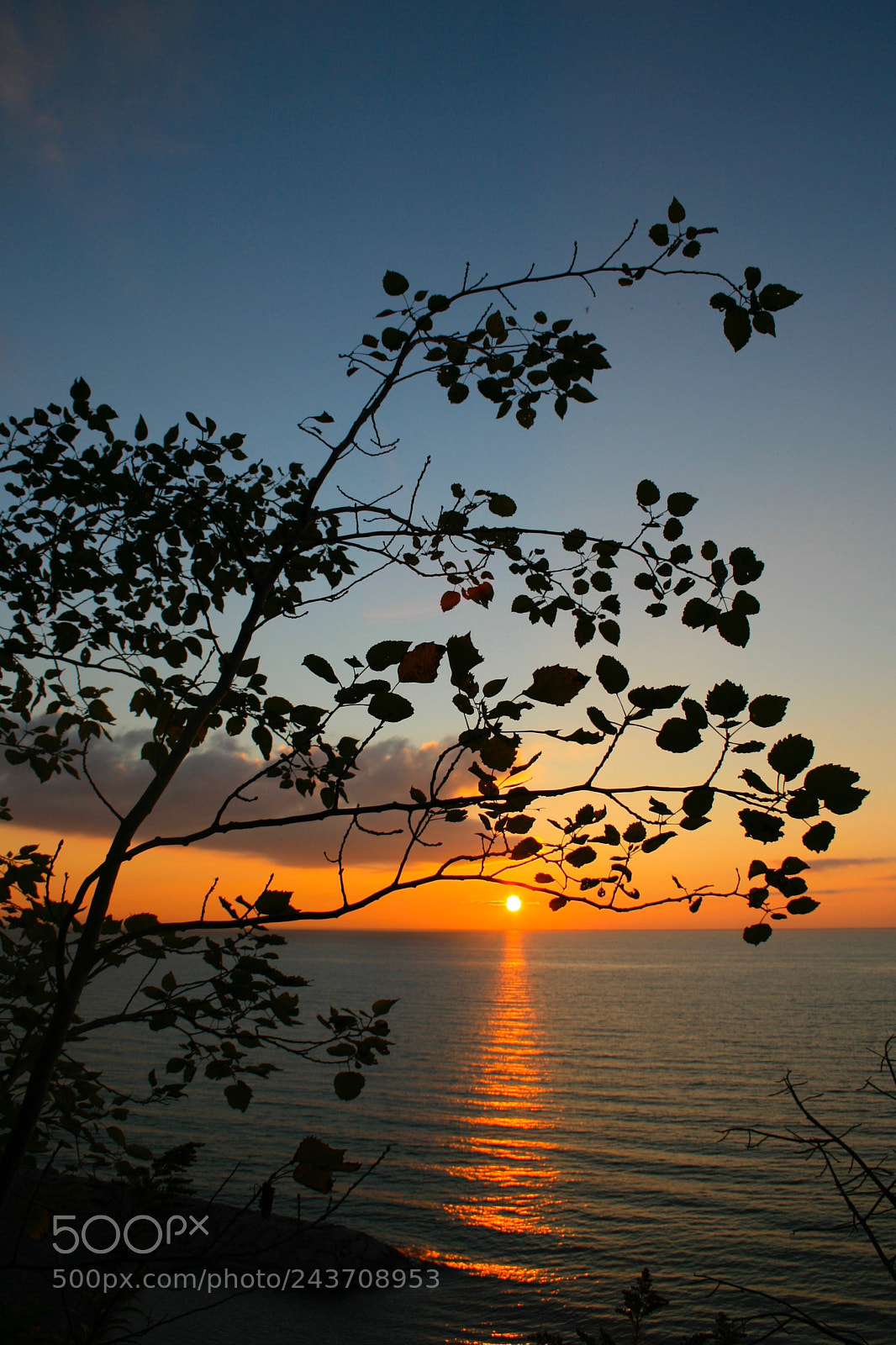 Canon EOS 400D (EOS Digital Rebel XTi / EOS Kiss Digital X) sample photo. Sunrise through the branches photography