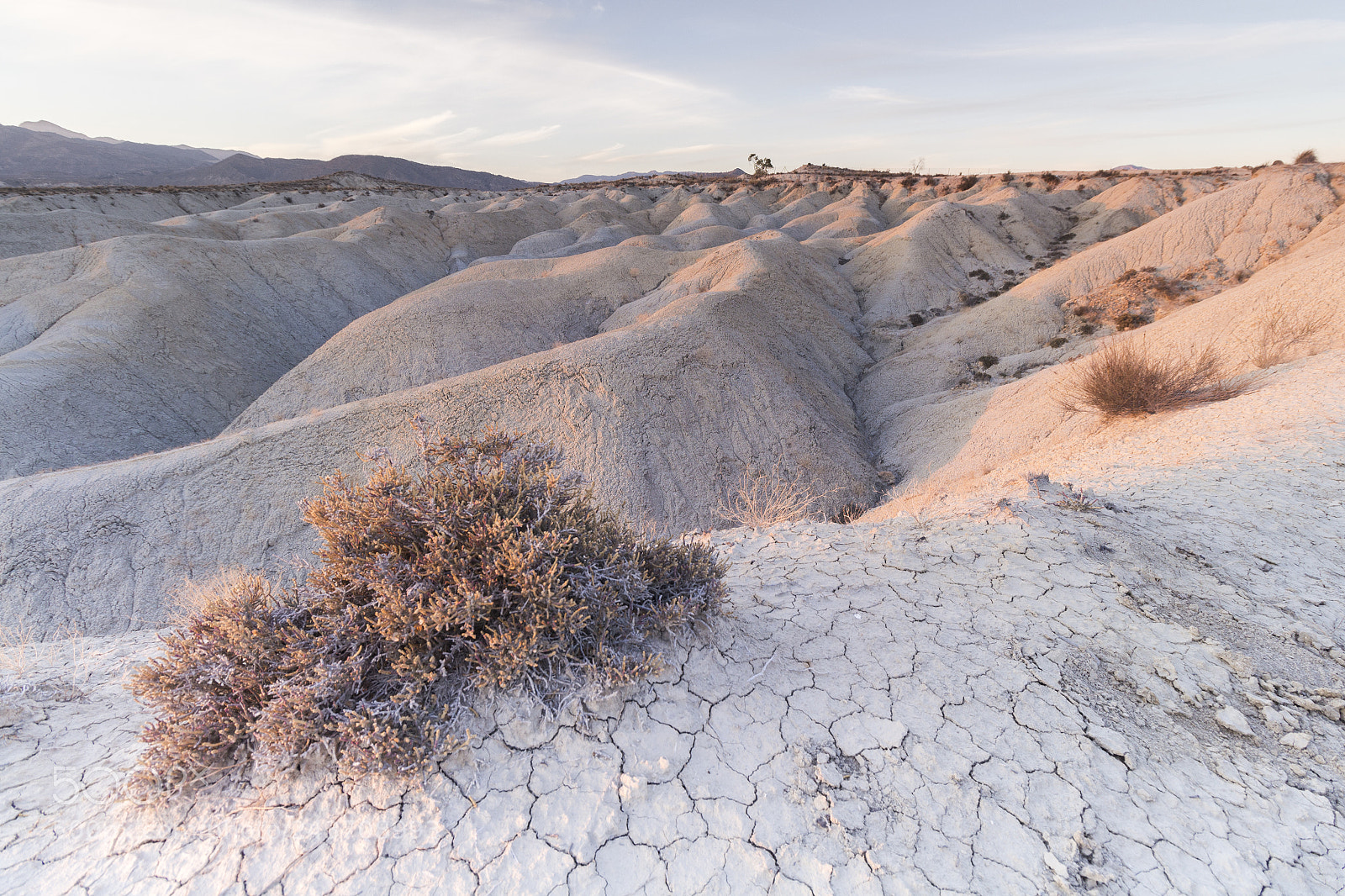 Canon EOS 650D (EOS Rebel T4i / EOS Kiss X6i) sample photo. Alone in the desert photography
