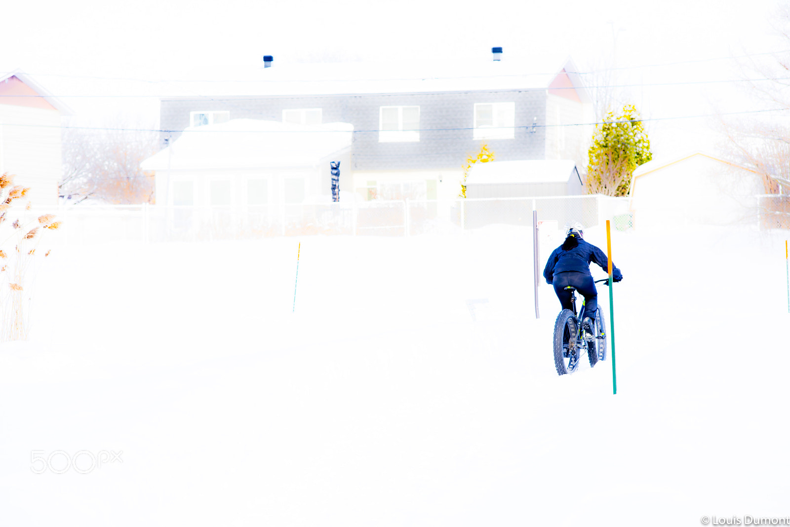 Nikon D810 sample photo. Fat bike en blanc photography