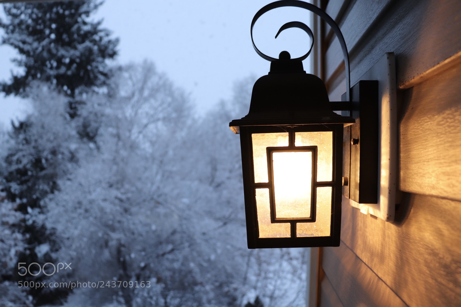 Canon EOS 800D (EOS Rebel T7i / EOS Kiss X9i) sample photo. Winter evening photography