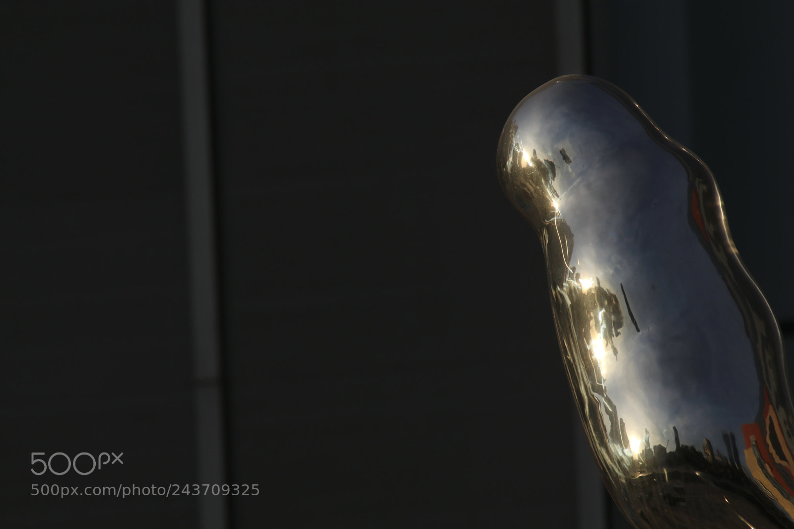 Tamron SP 150-600mm F5-6.3 Di VC USD sample photo. 扭曲的世界a twisted world photography