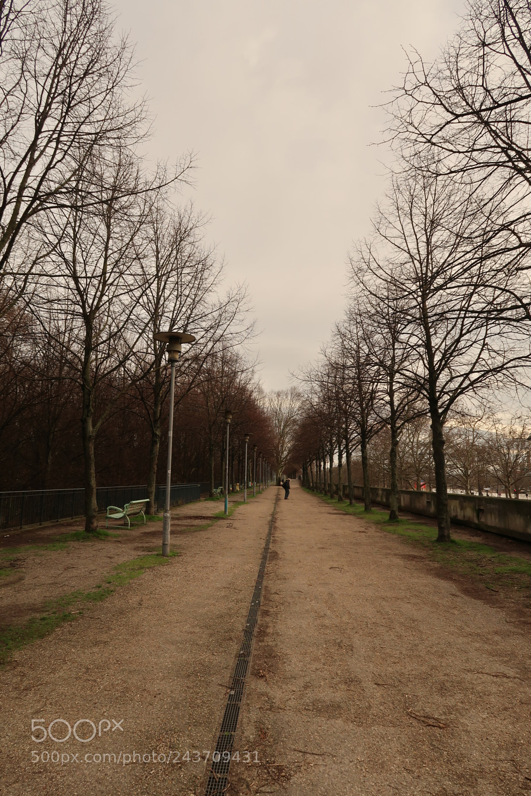 Canon PowerShot G7 X Mark II sample photo. Bercy park  photography