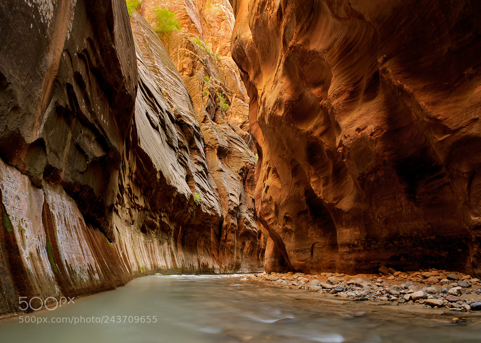 Nikon D3S sample photo. Zion narrows photography