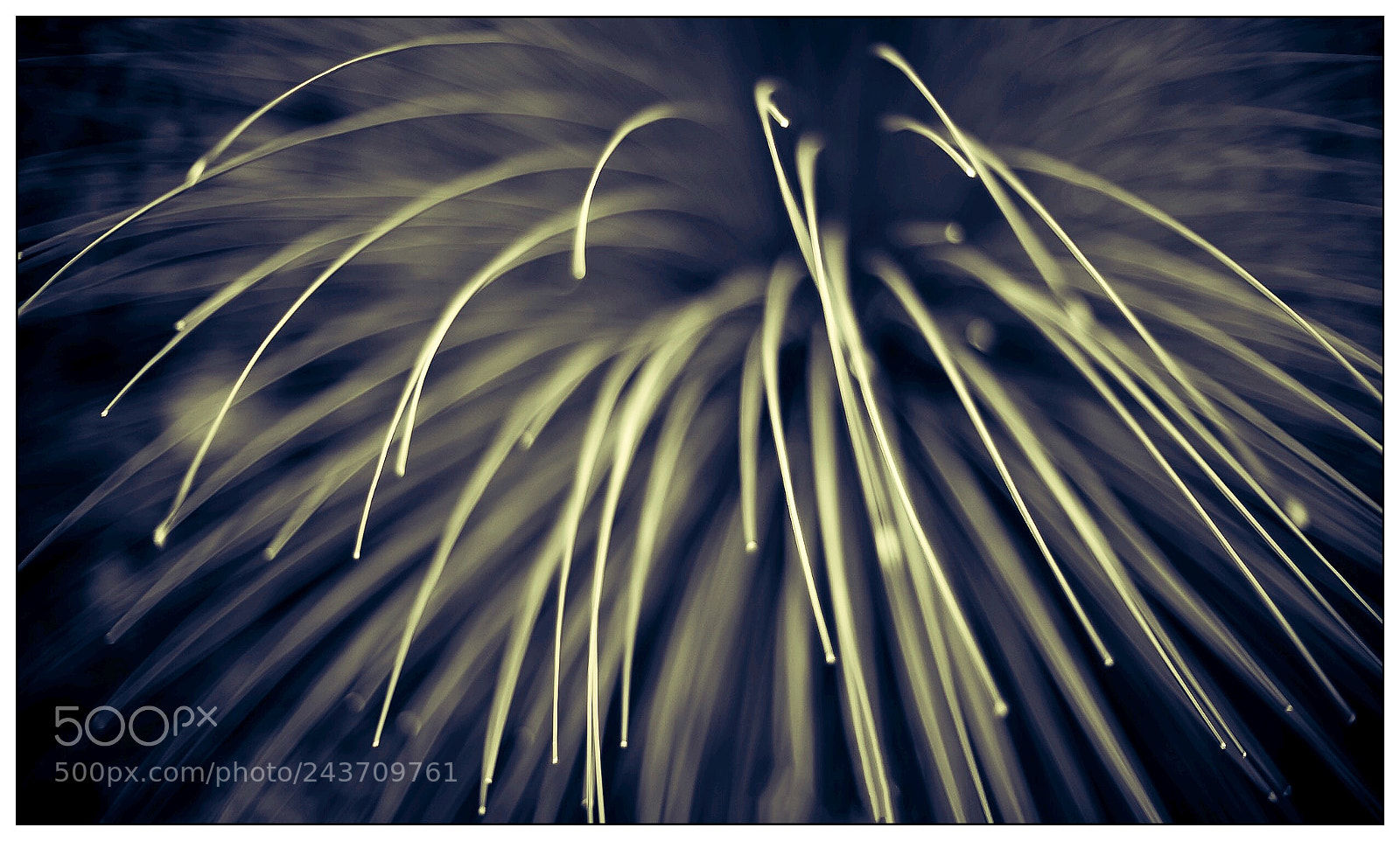 Leica M9 sample photo. Untitled photography