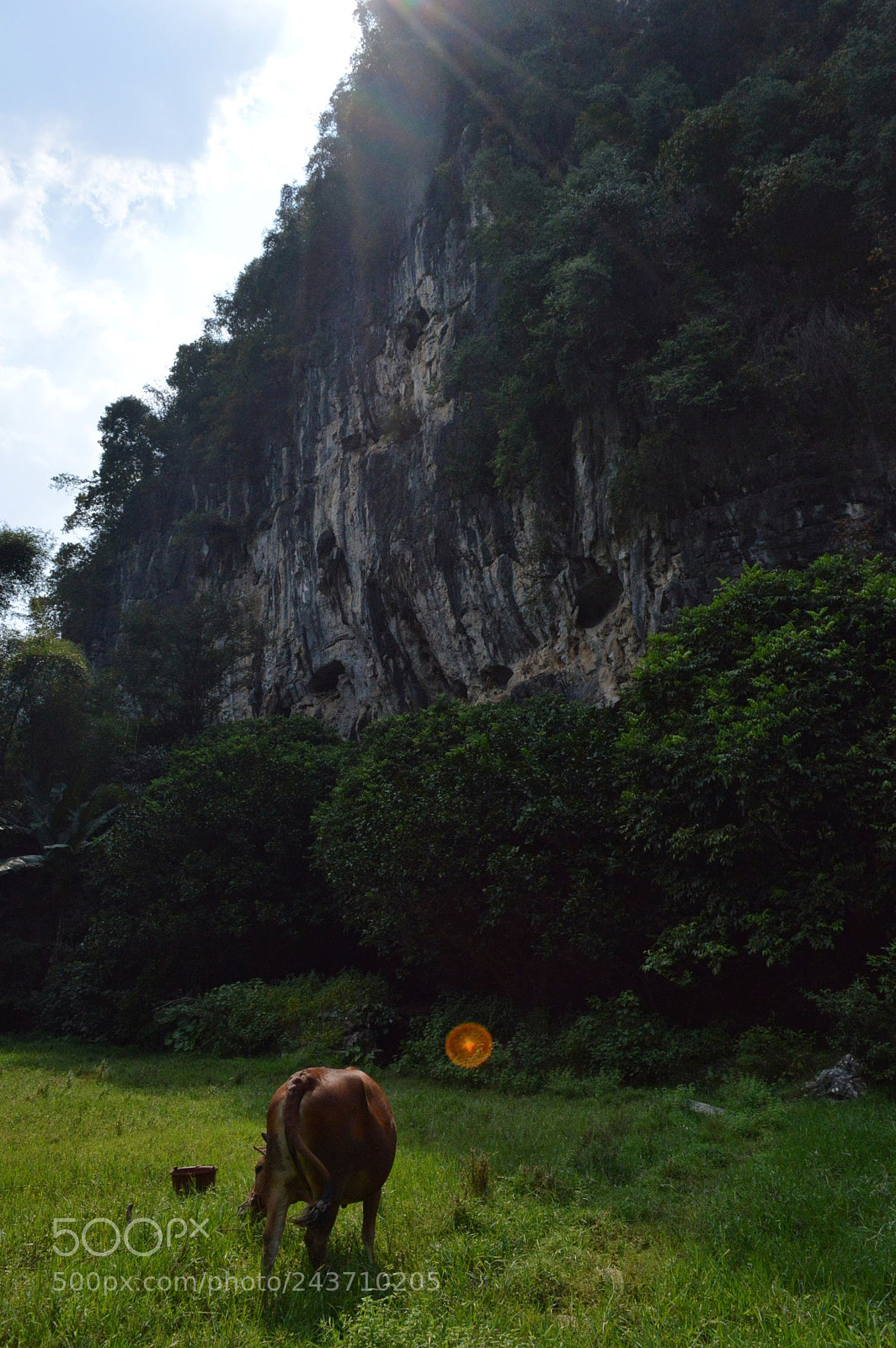 Nikon D3200 sample photo. Yangshuo, china photography