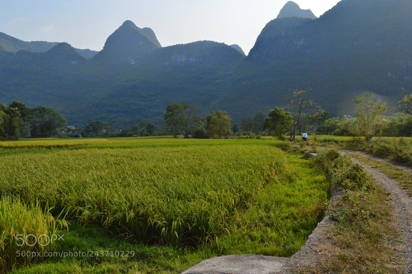 Nikon D3200 sample photo. Yangshuo, china photography