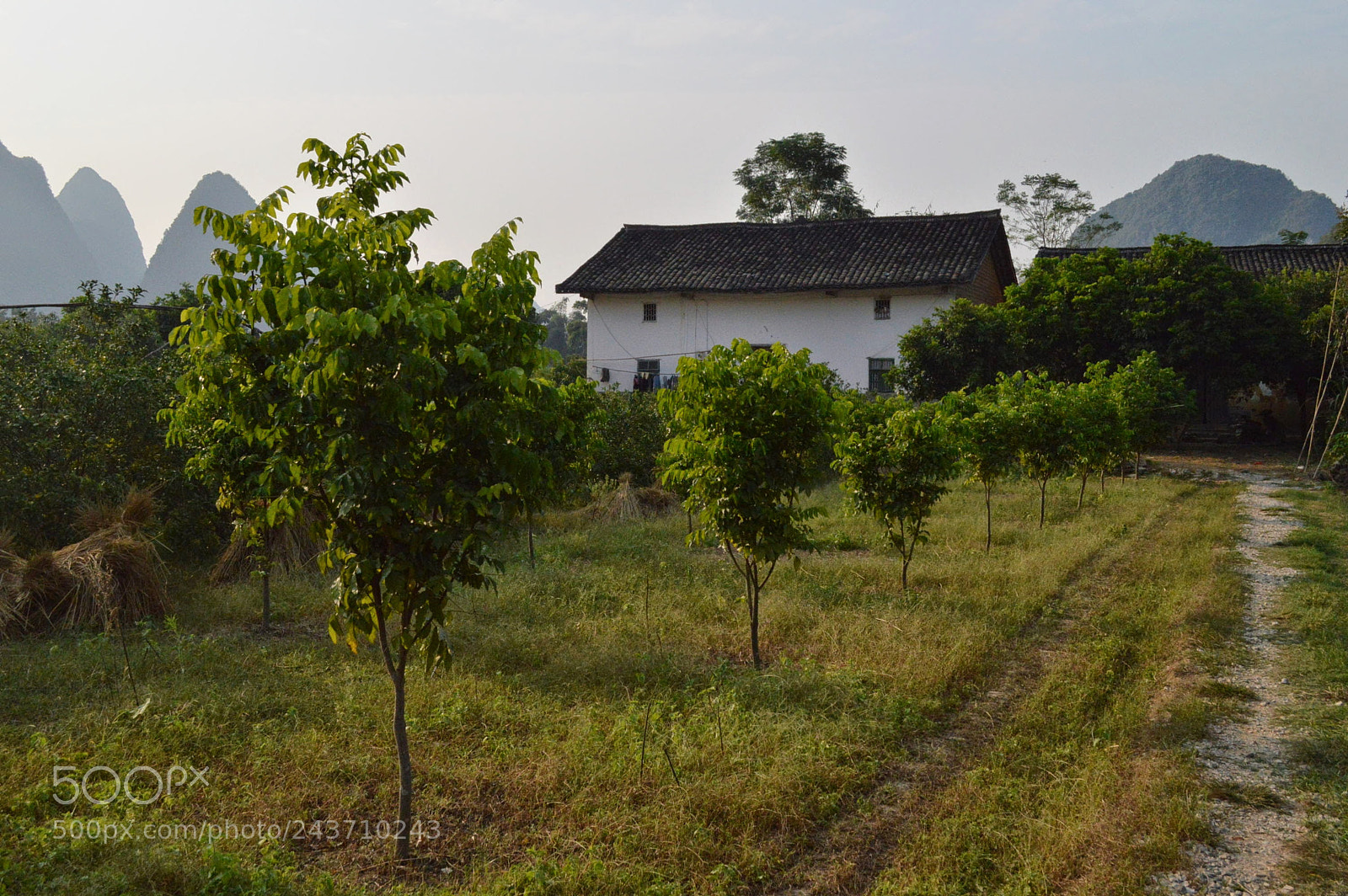 Nikon D3200 sample photo. Yangshuo, china photography