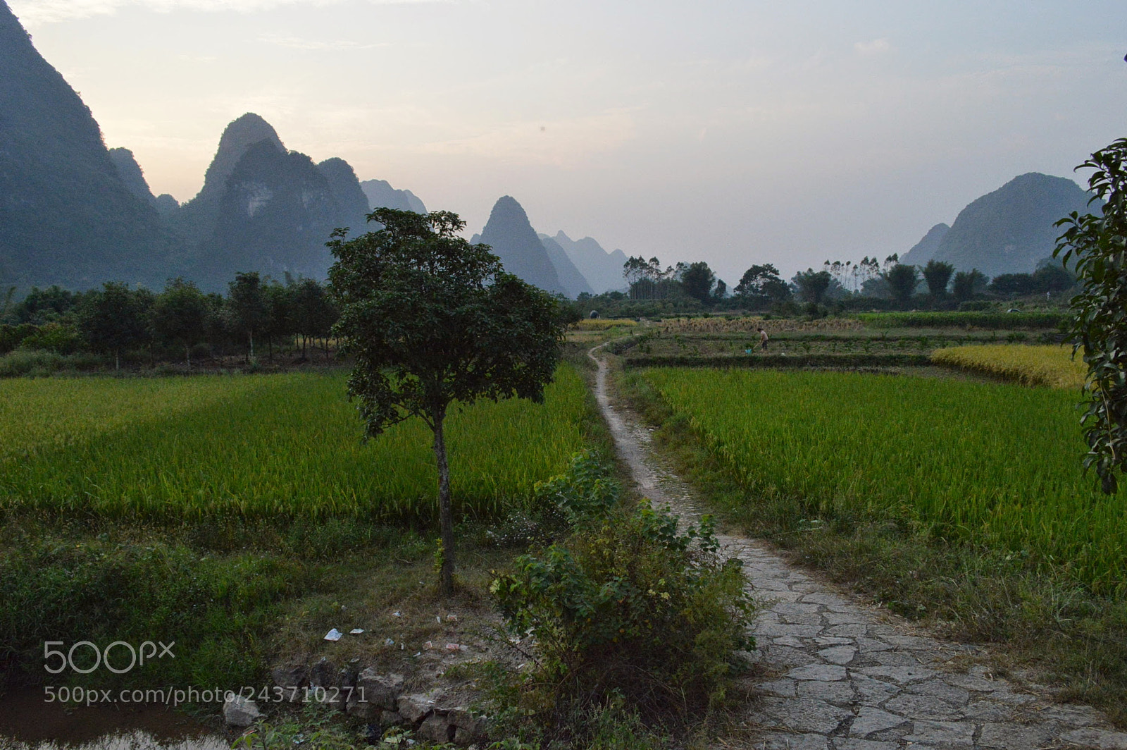 Nikon D3200 sample photo. Yangshuo, china photography