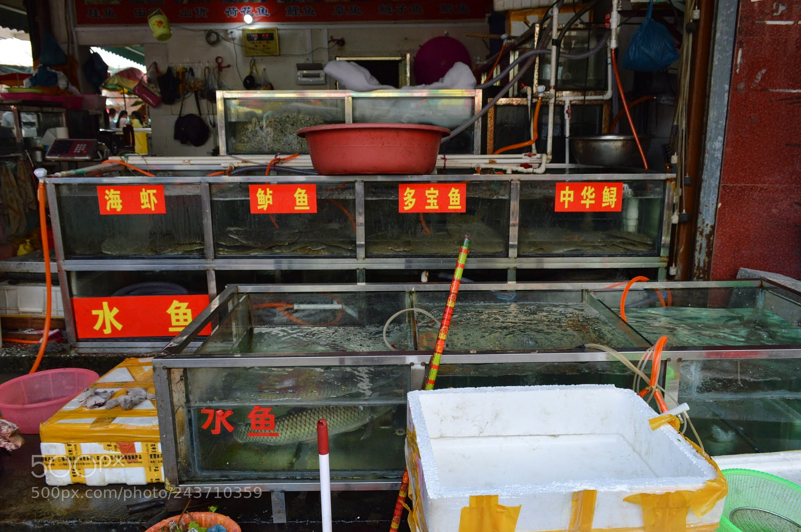 Nikon D3200 sample photo. Yangshuo, china photography