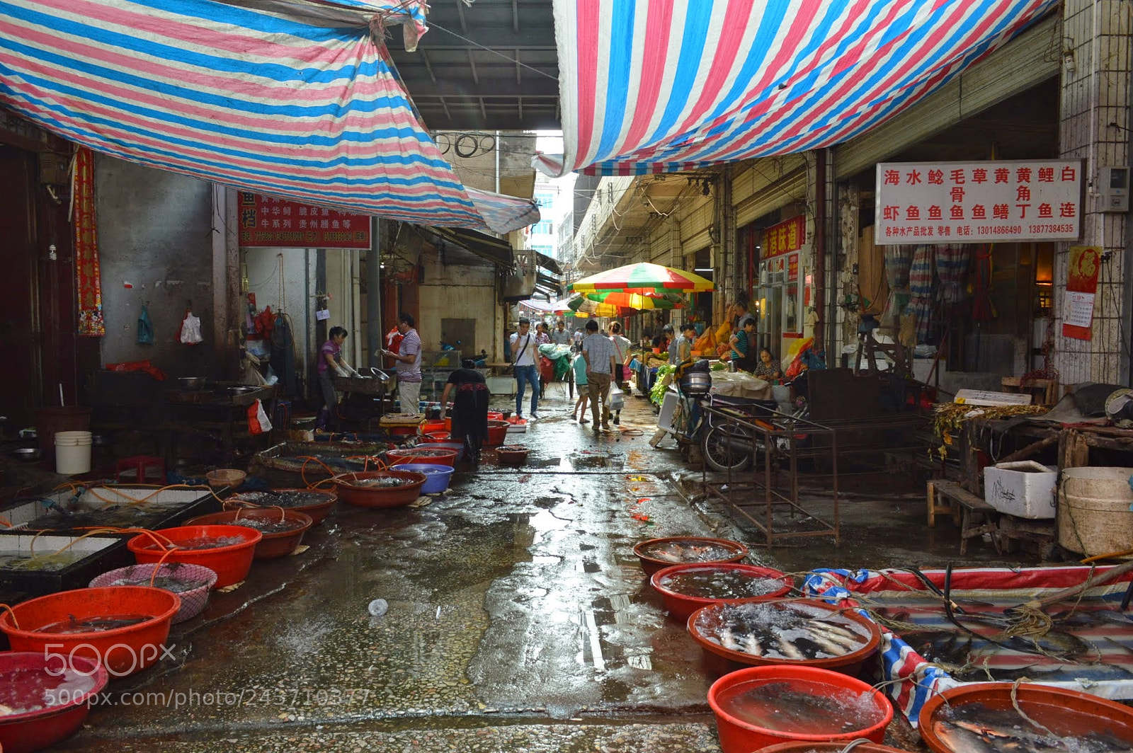 Nikon D3200 sample photo. Yangshuo, china photography