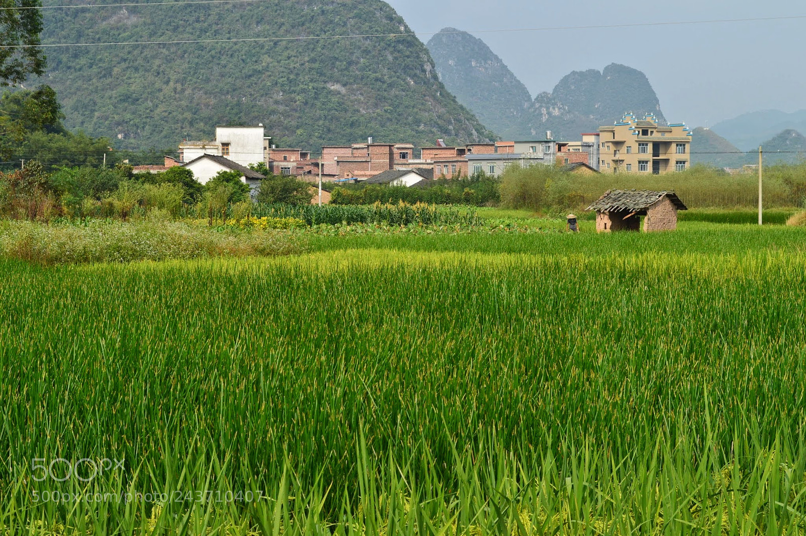 Nikon D3200 sample photo. Yangshuo, china photography