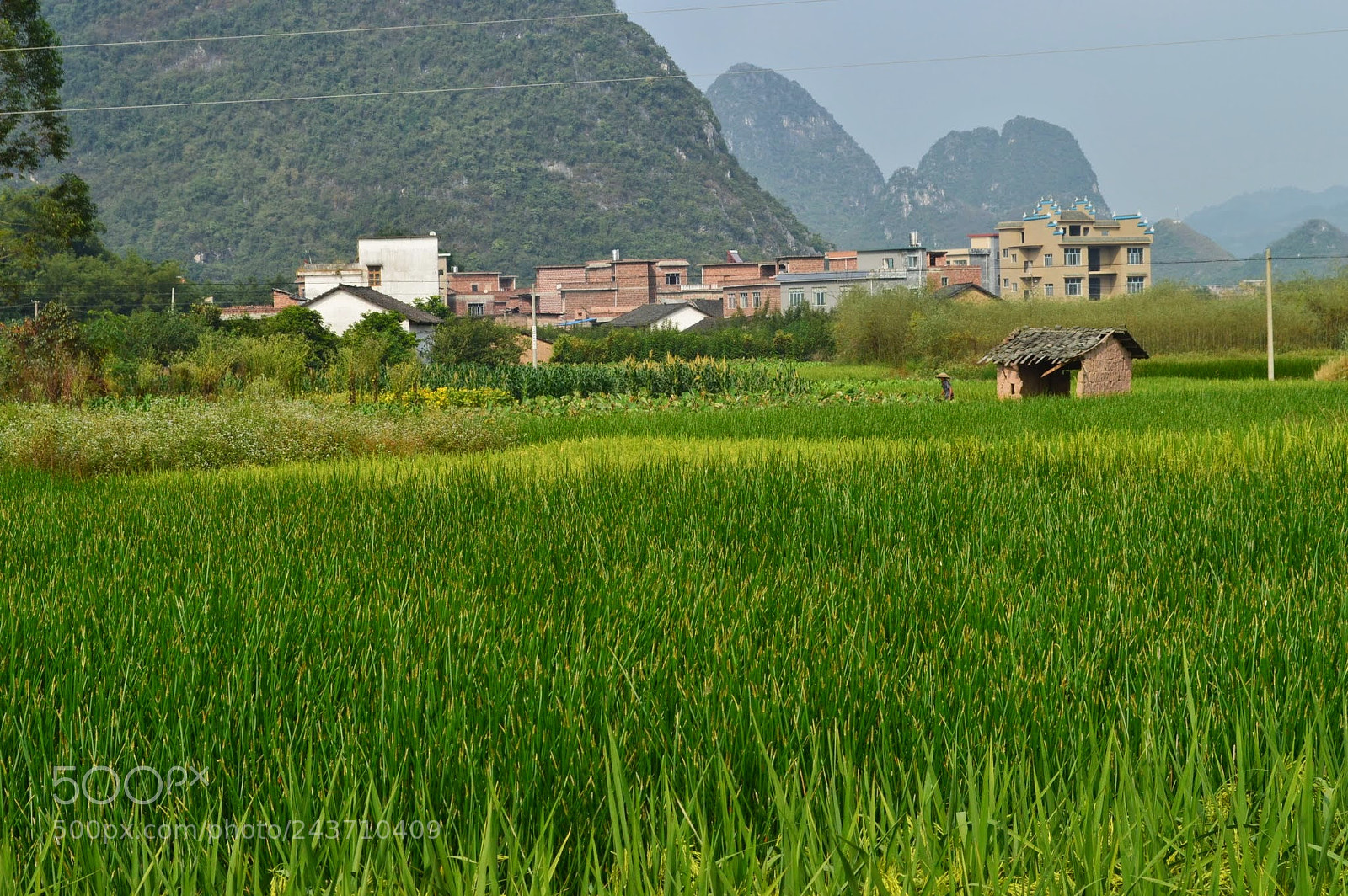 Nikon D3200 sample photo. Yangshuo, china photography