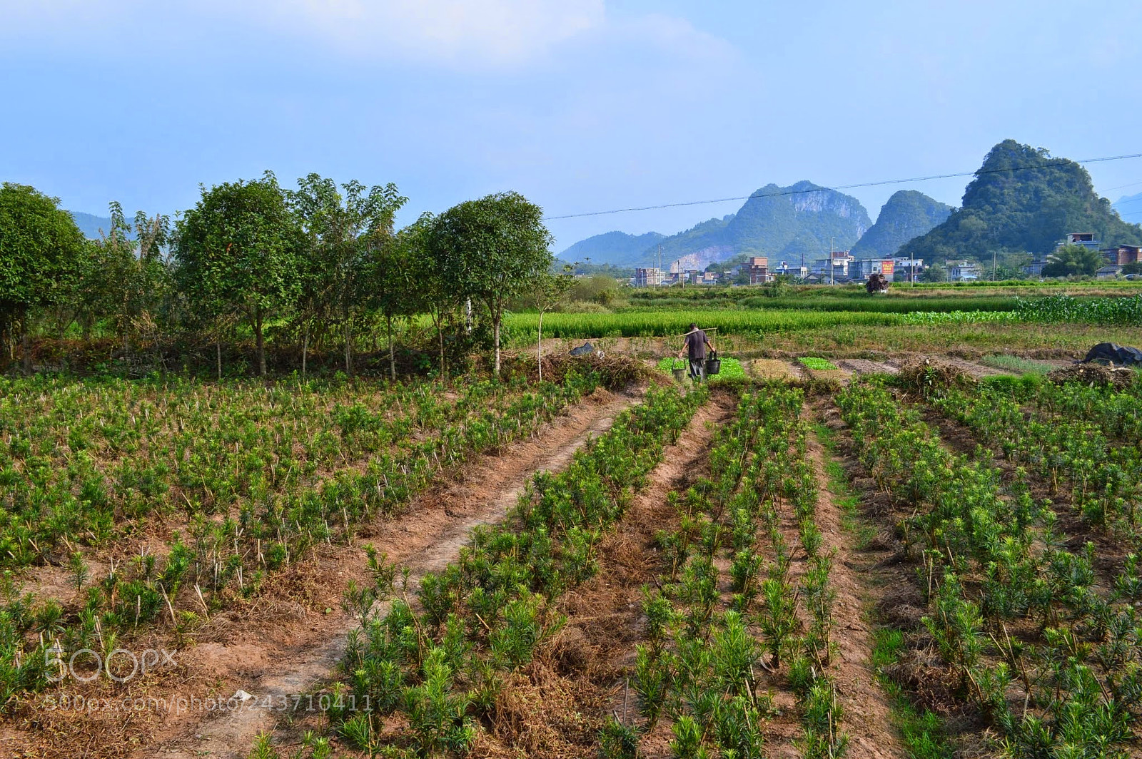Nikon D3200 sample photo. Yangshuo, china photography