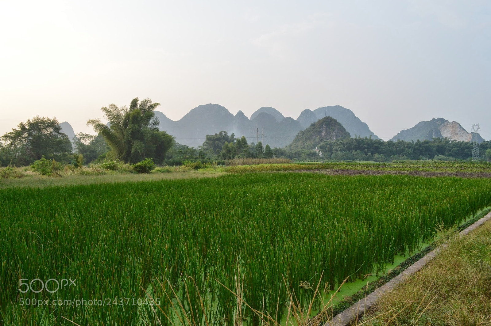 Nikon D3200 sample photo. Yangshuo, china photography