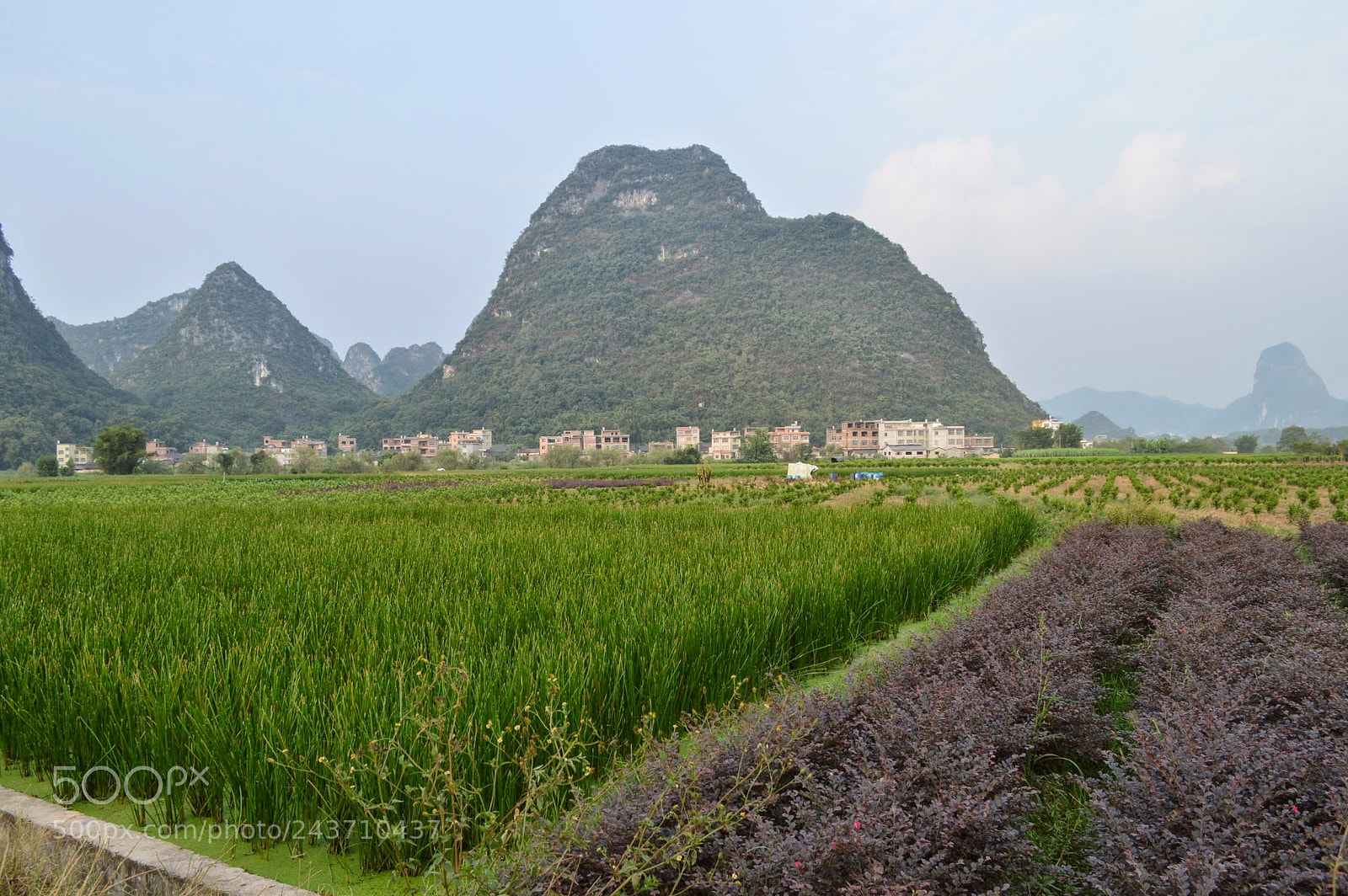 Nikon D3200 sample photo. Yangshuo, china photography