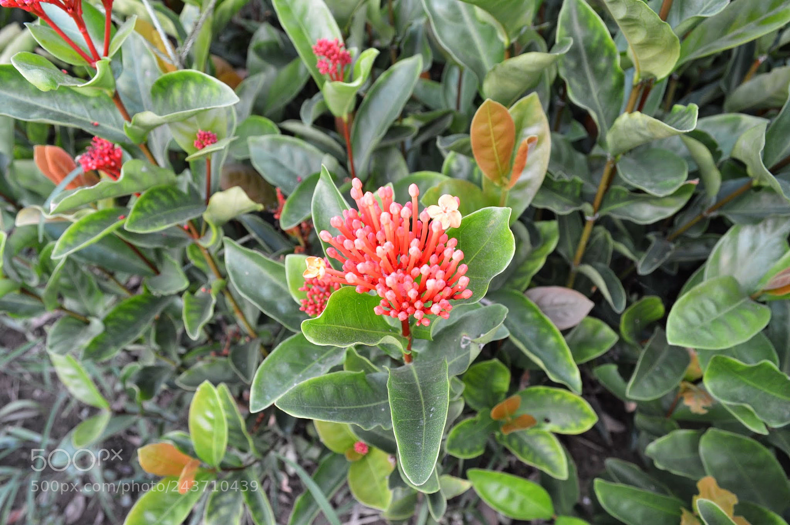 Nikon D3200 sample photo. Yangshuo, china photography