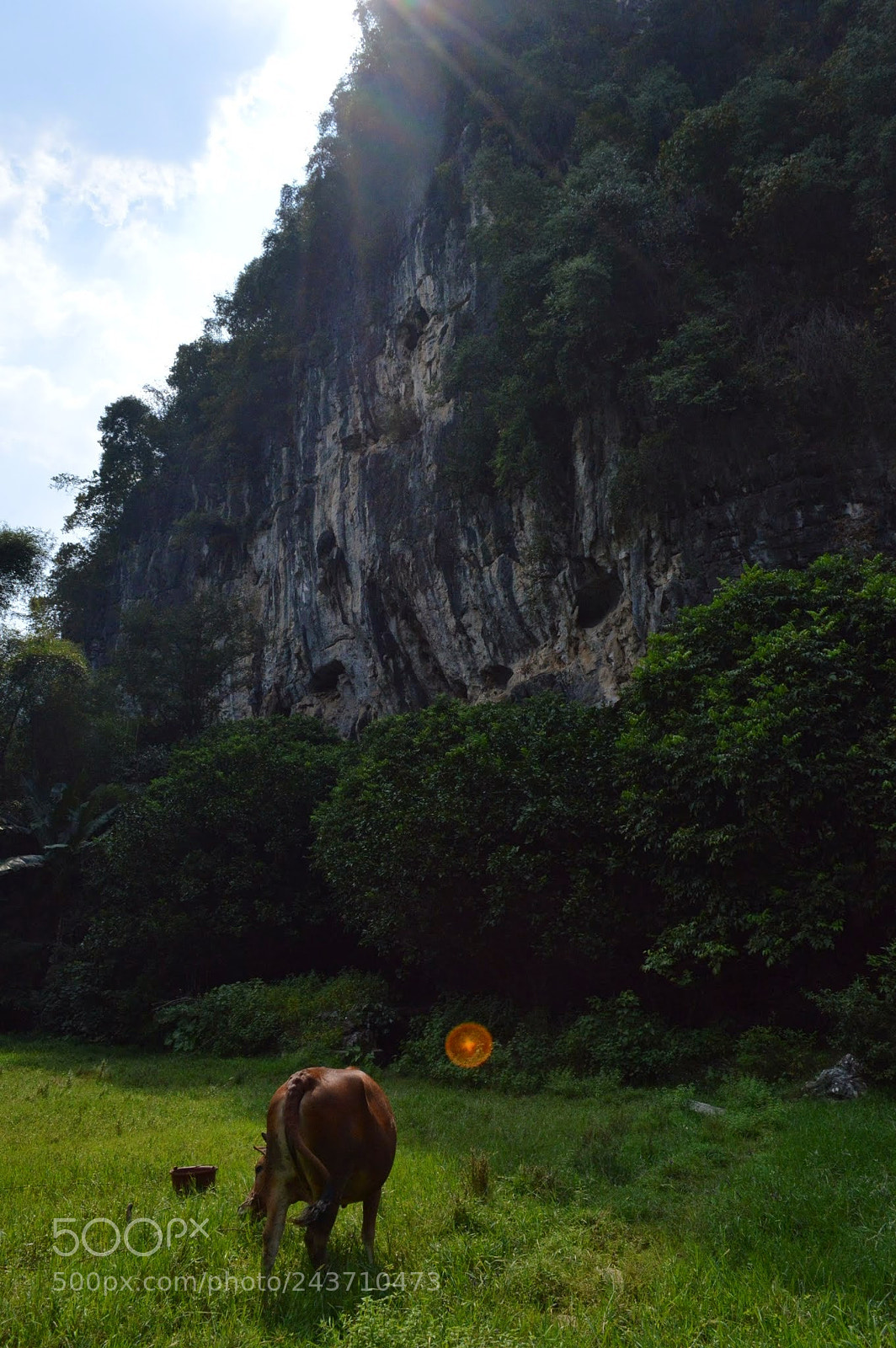 Nikon D3200 sample photo. Yangshuo, china photography