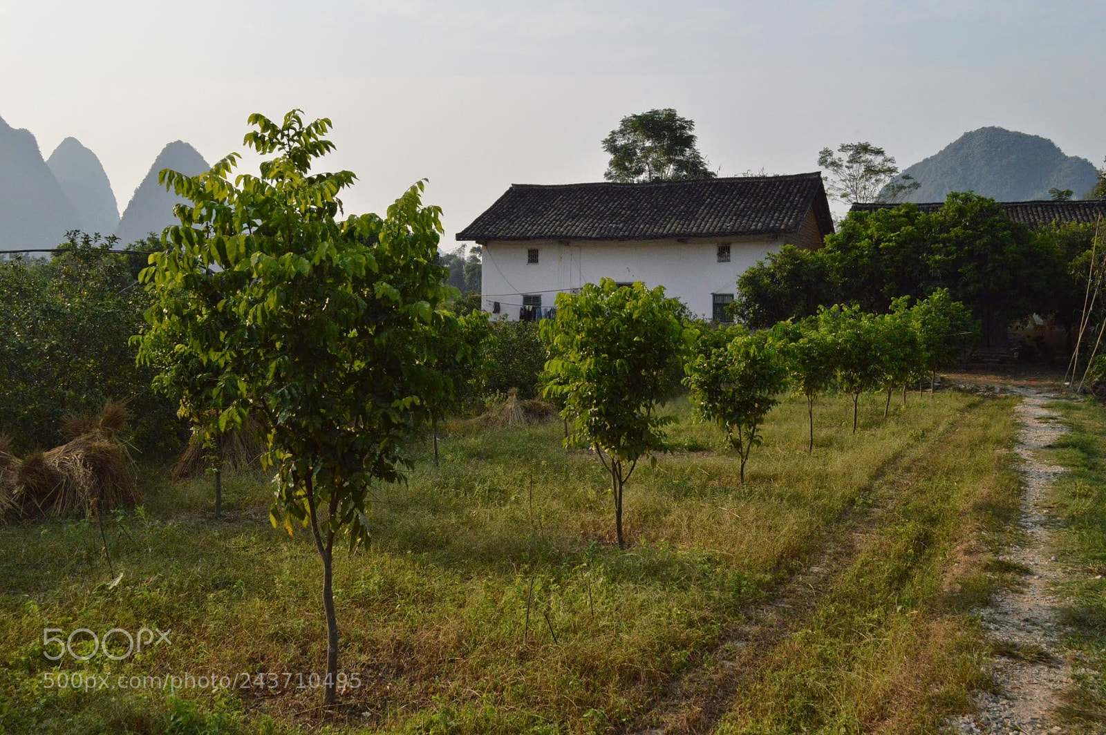 Nikon D3200 sample photo. Yangshuo, china photography