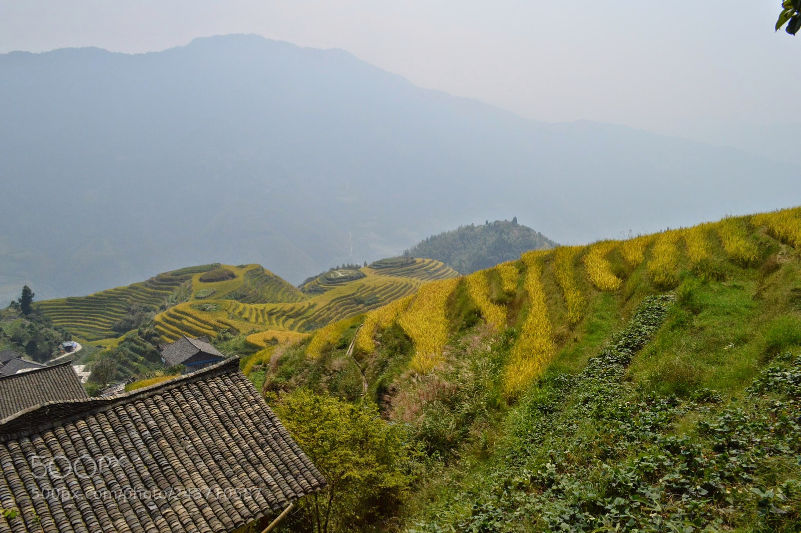 Nikon D3200 sample photo. Dragon's backbone rice terraces photography