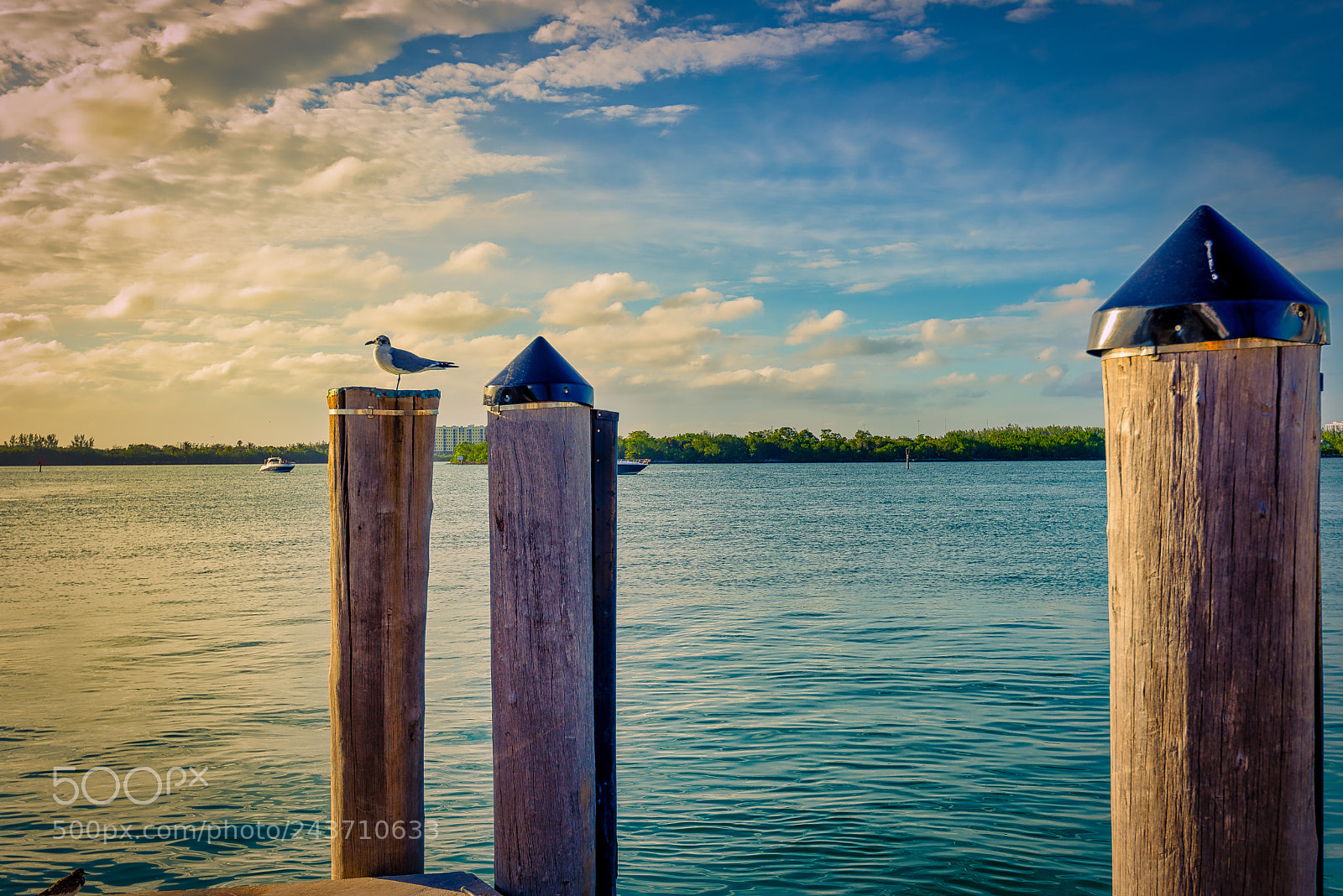 Nikon D610 sample photo. Mirada al horizonte photography