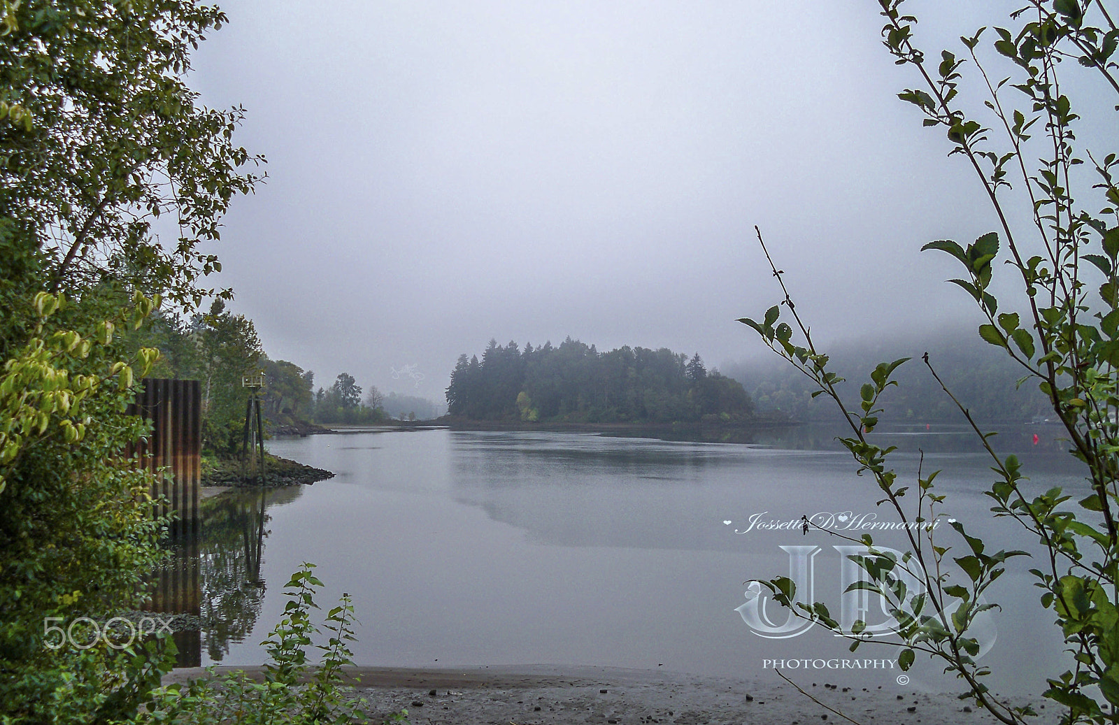 Kodak EasyShare M1033 sample photo. Loneliness cuddles by jossetted'hermanni photography