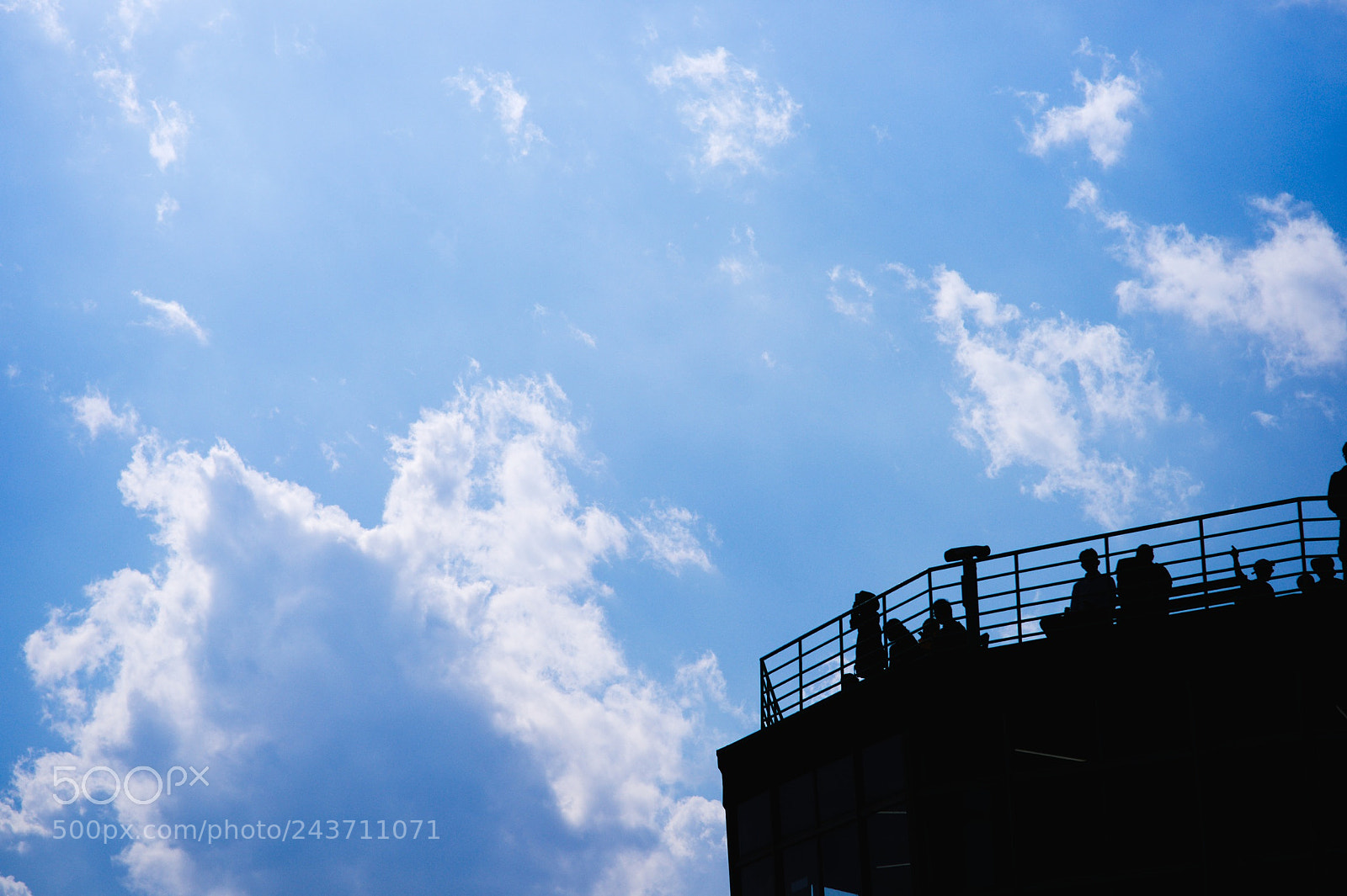 Sony Alpha DSLR-A900 sample photo. Untitled photography