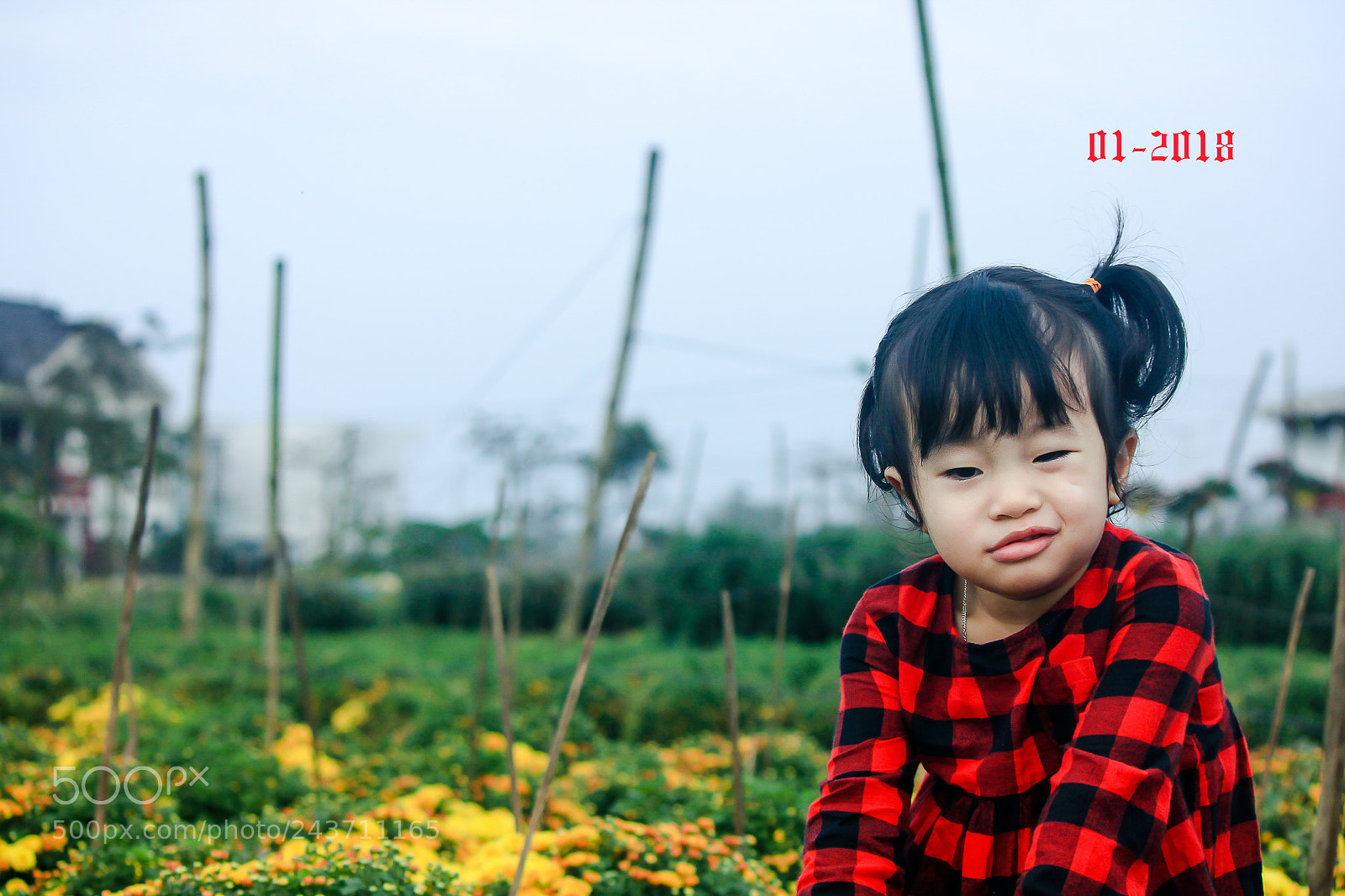 Canon EOS 550D (EOS Rebel T2i / EOS Kiss X4) sample photo. 100 shades of ms bơ photography