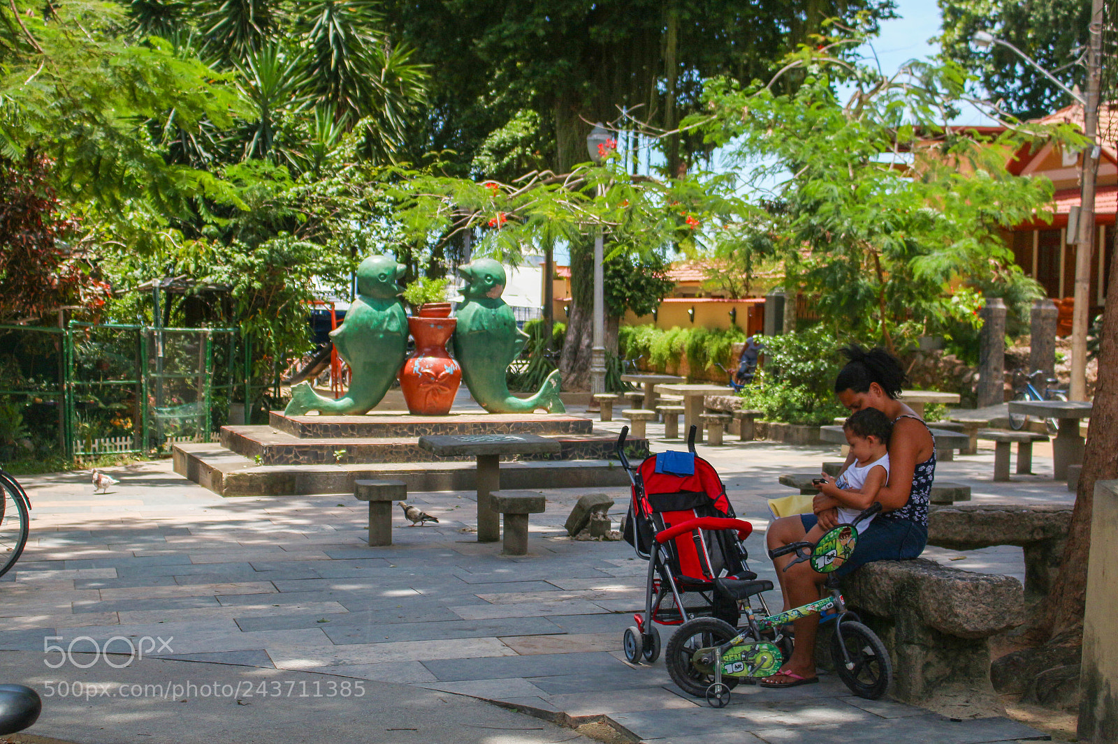 Canon EOS 700D (EOS Rebel T5i / EOS Kiss X7i) sample photo. Golfinhos do paqueta photography