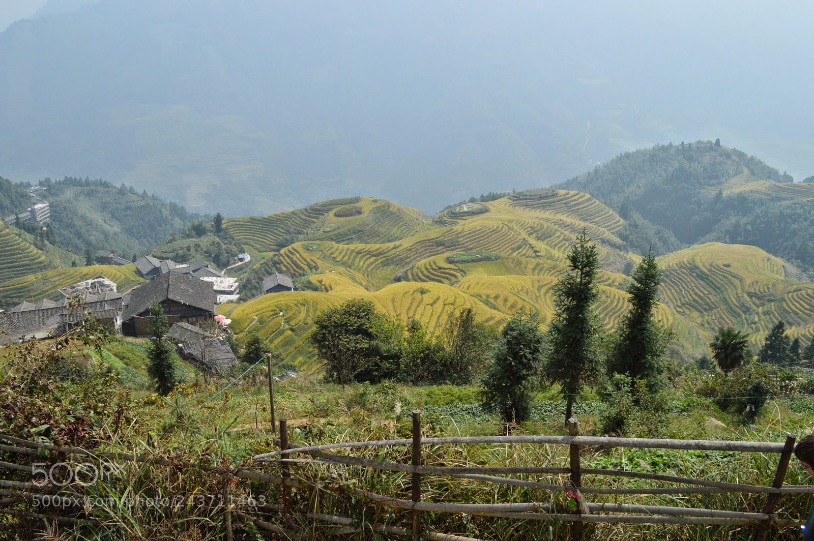 Nikon D3200 sample photo. Dragon's backbone rice terraces photography