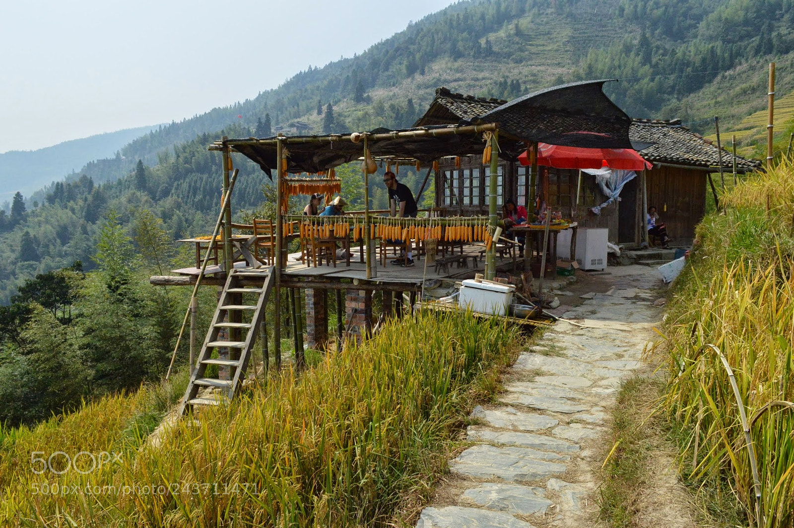 Nikon D3200 sample photo. Dragon's backbone rice terraces photography
