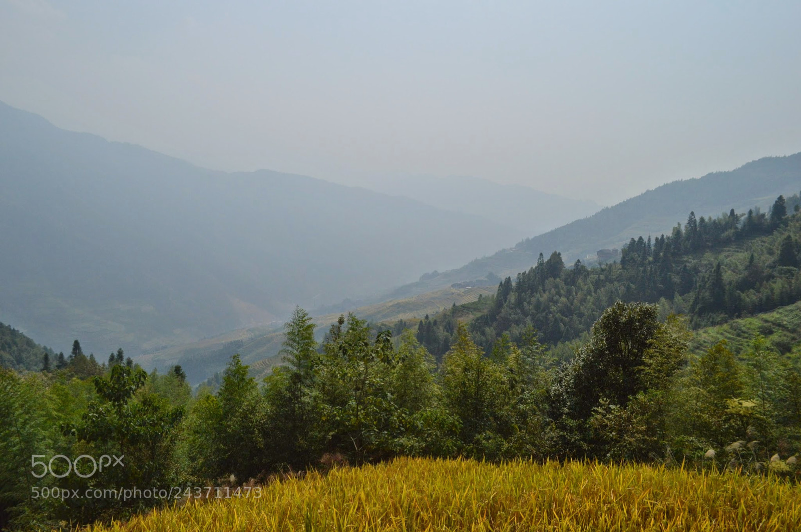 Nikon D3200 sample photo. Dragon's backbone rice terraces photography