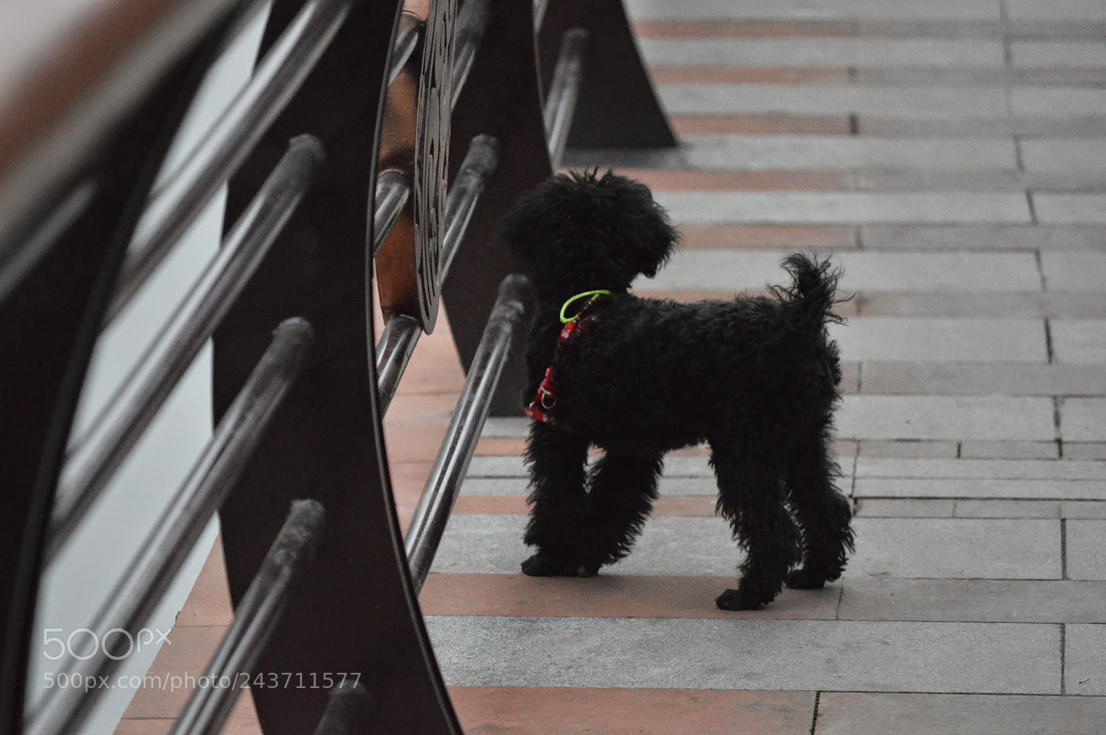 Nikon D3200 sample photo. The people of zunyi photography