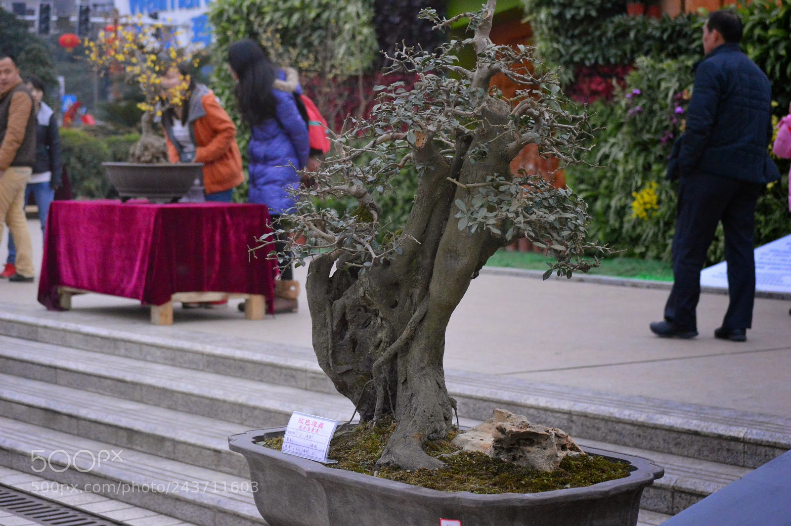 Nikon D3200 sample photo. The people of zunyi photography