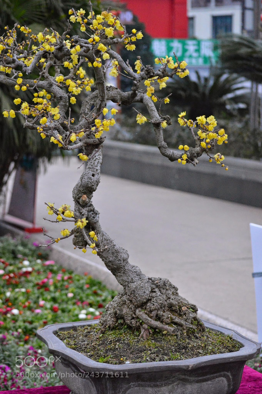 Nikon D3200 sample photo. The people of zunyi photography